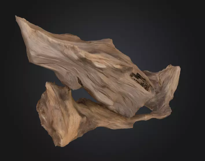 Desolate Driftwood Low-poly 3D model_13