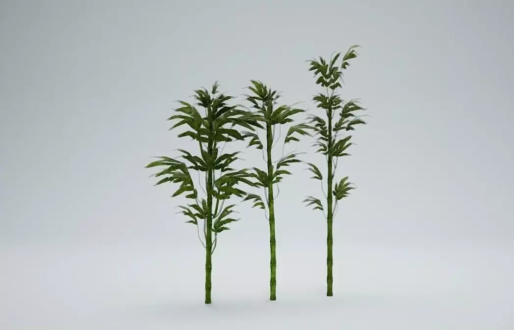 Stylized Palms and Bamboo Low-poly 3D model_4