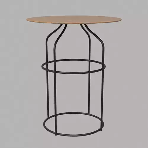 Zaurakus Coffee Table