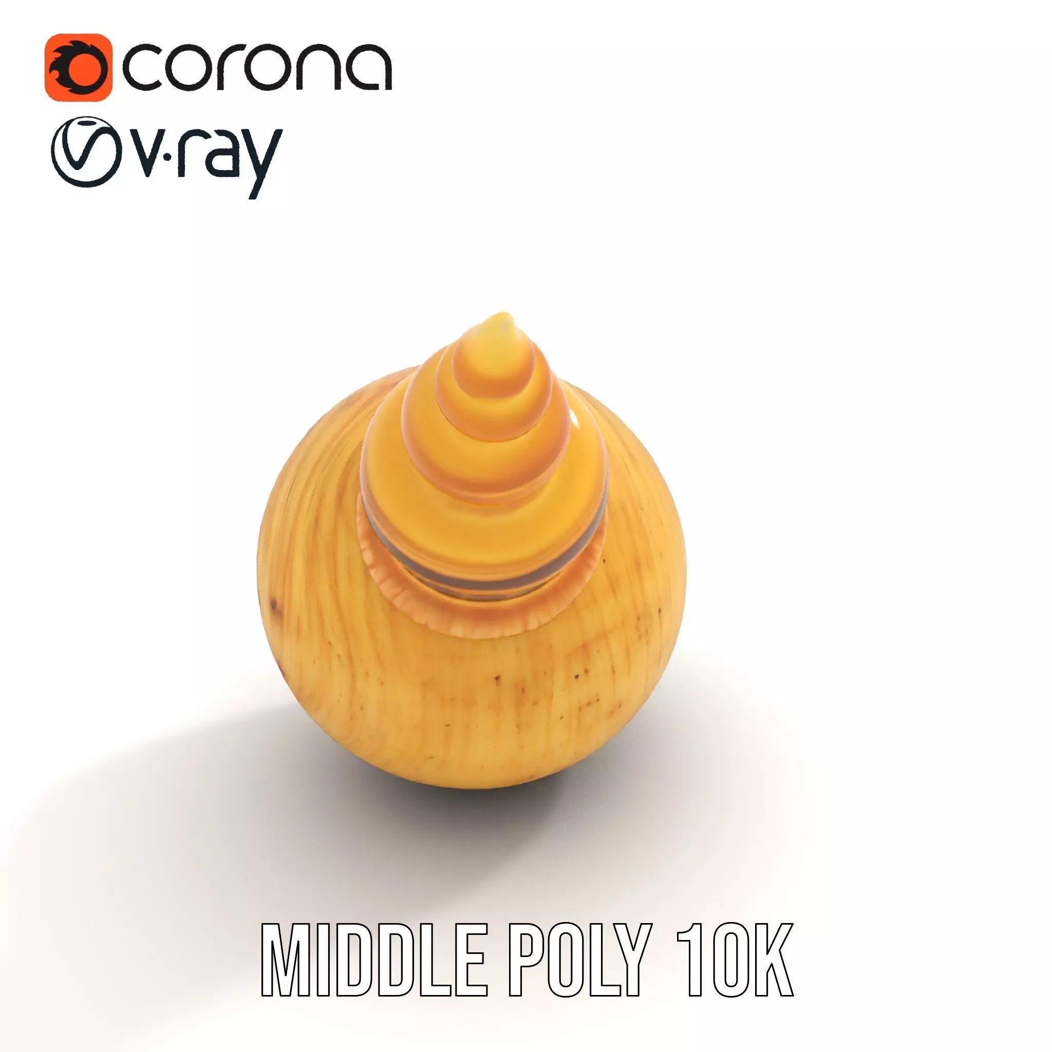 Spiral Nautilus Shell model pack Low-poly 3D model_6