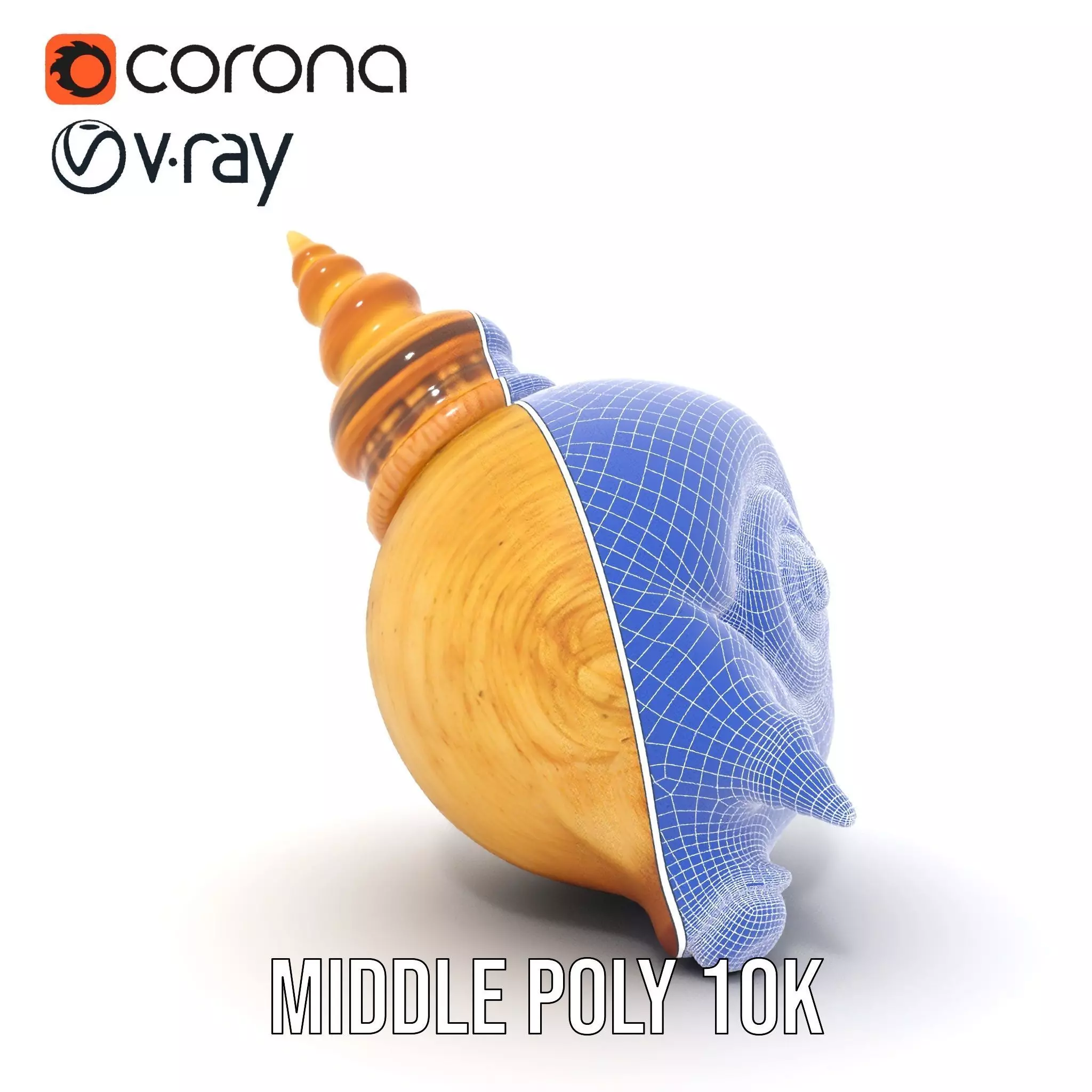 Spiral Nautilus Shell model pack Low-poly 3D model_23