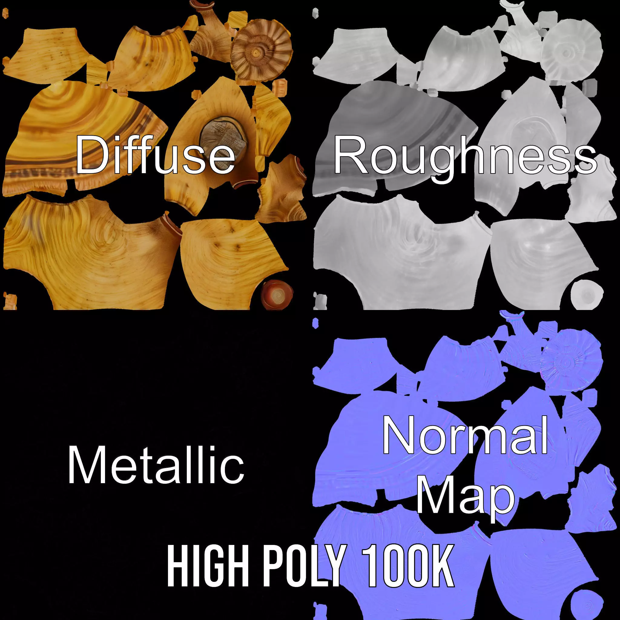 Spiral Nautilus Shell model pack Low-poly 3D model_4