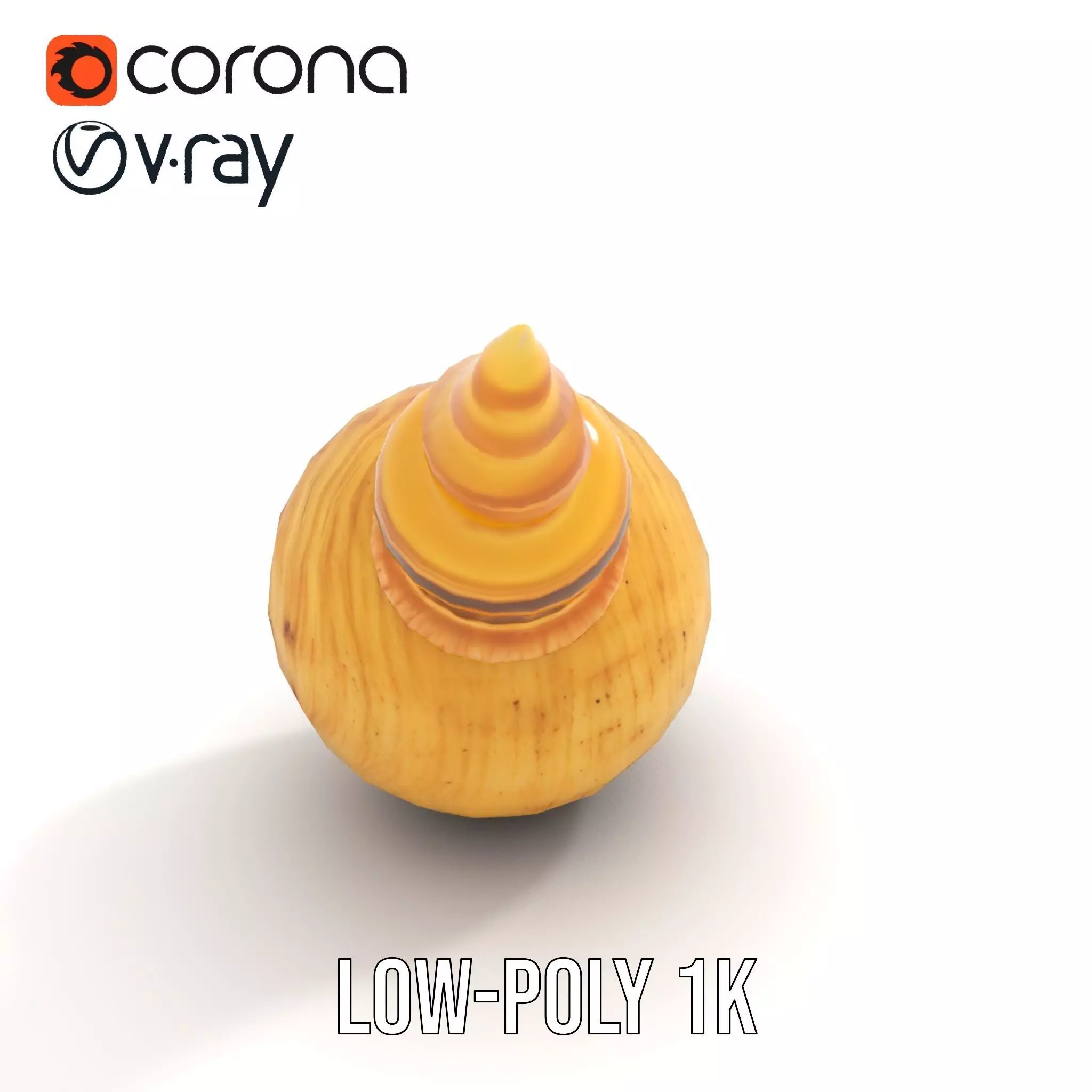 Spiral Nautilus Shell model pack Low-poly 3D model_8