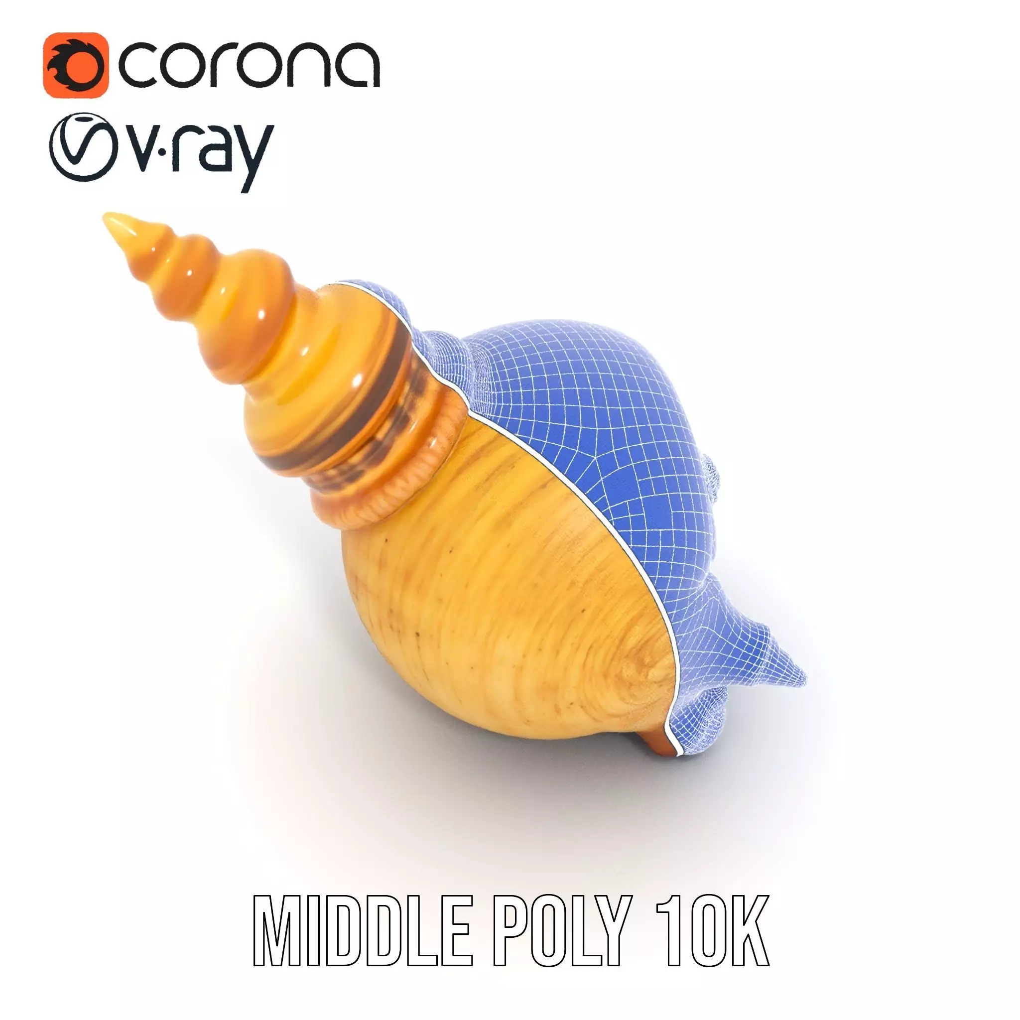 Spiral Nautilus Shell model pack Low-poly 3D model_25