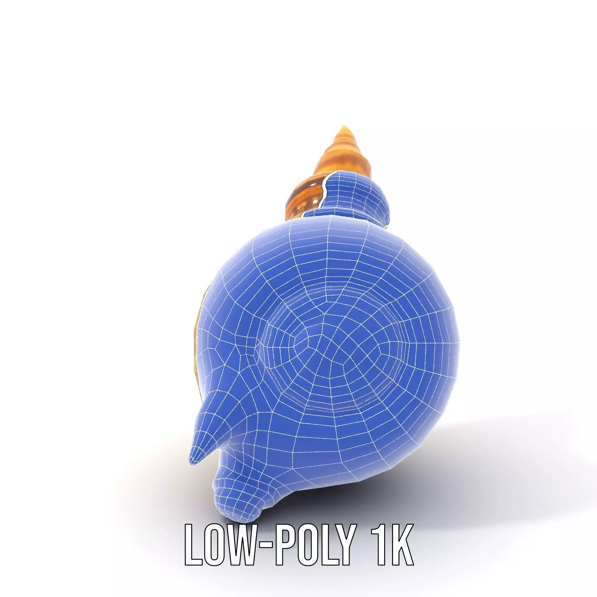 Spiral Nautilus Shell model pack Low-poly 3D model_24