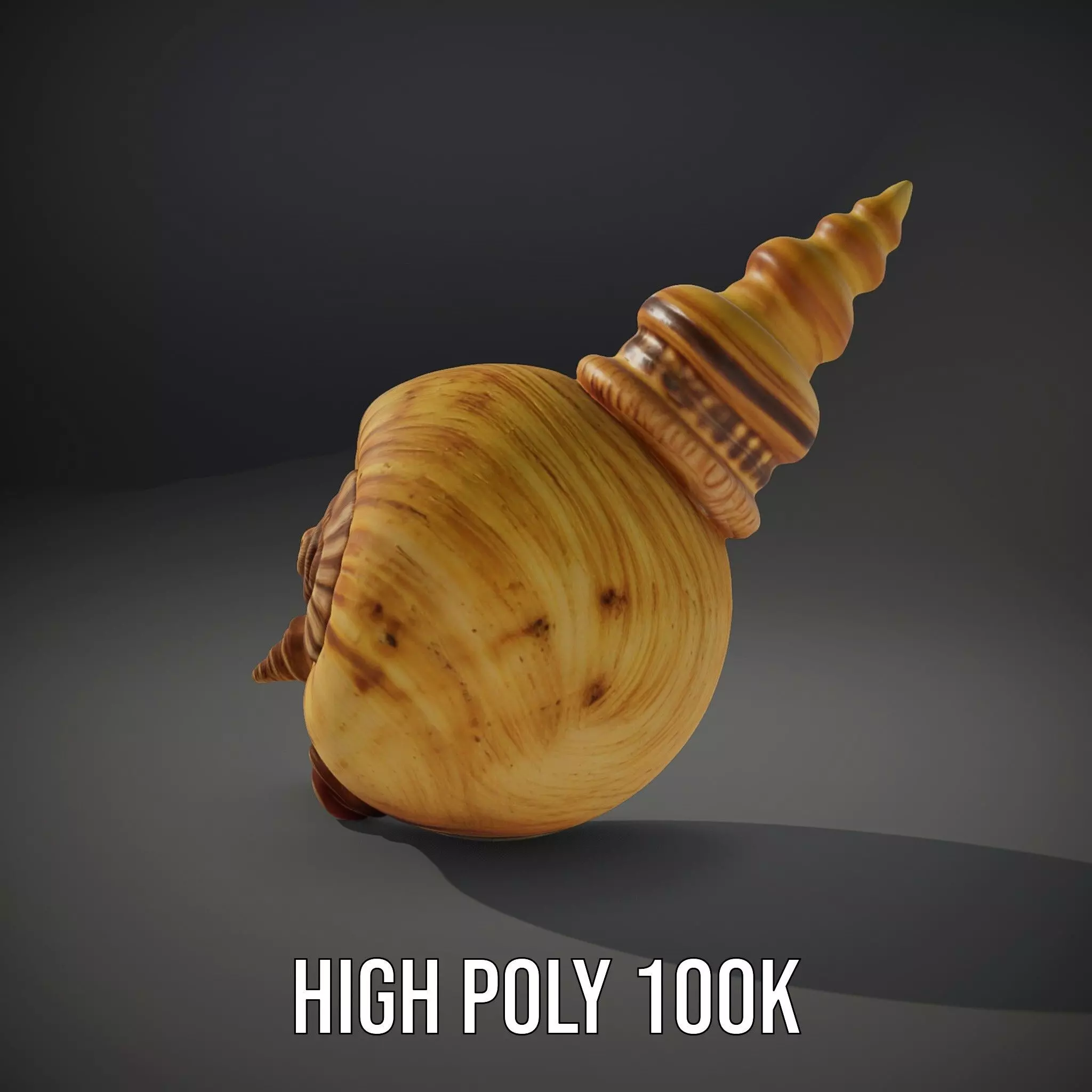Spiral Nautilus Shell model pack Low-poly 3D model_11