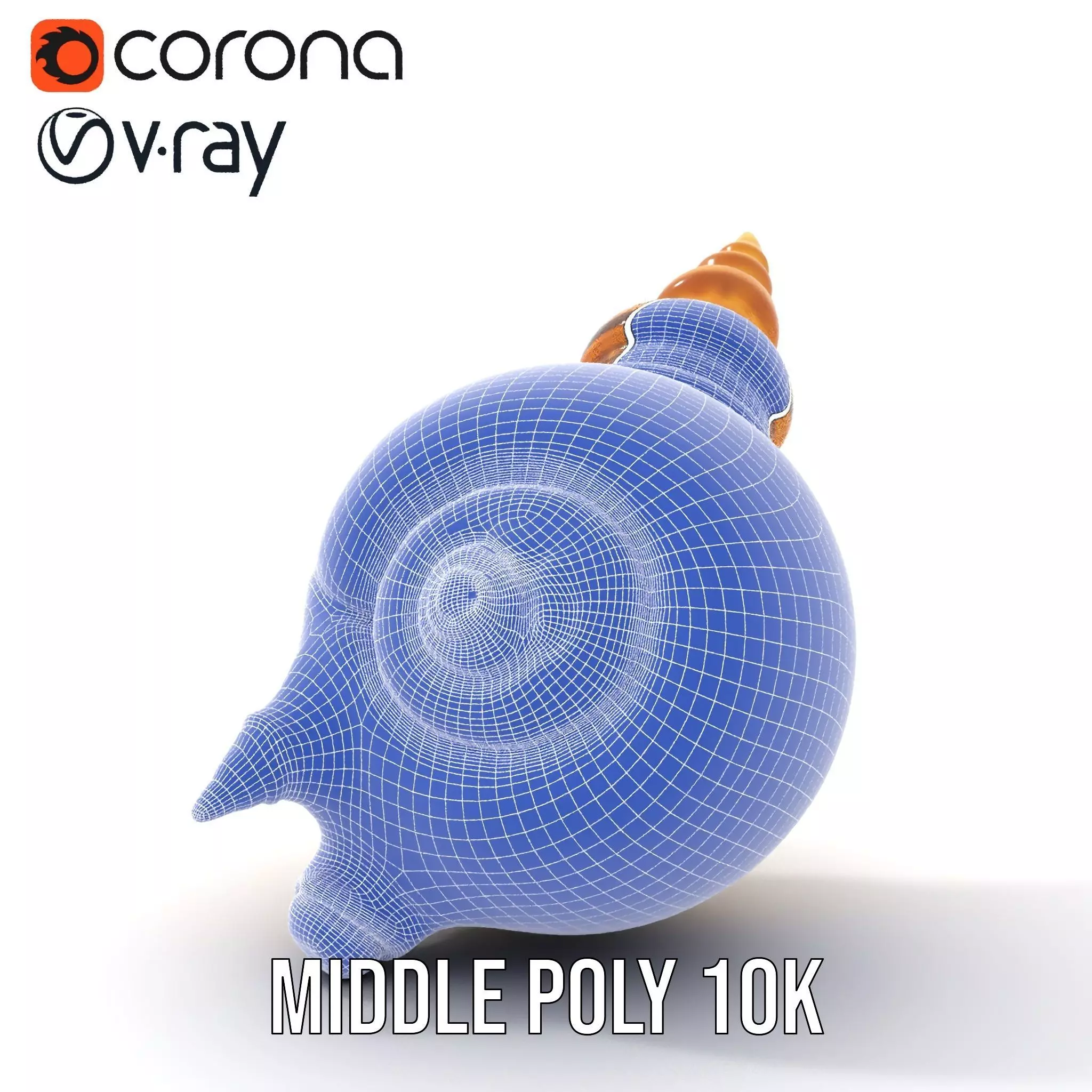Spiral Nautilus Shell model pack Low-poly 3D model_28