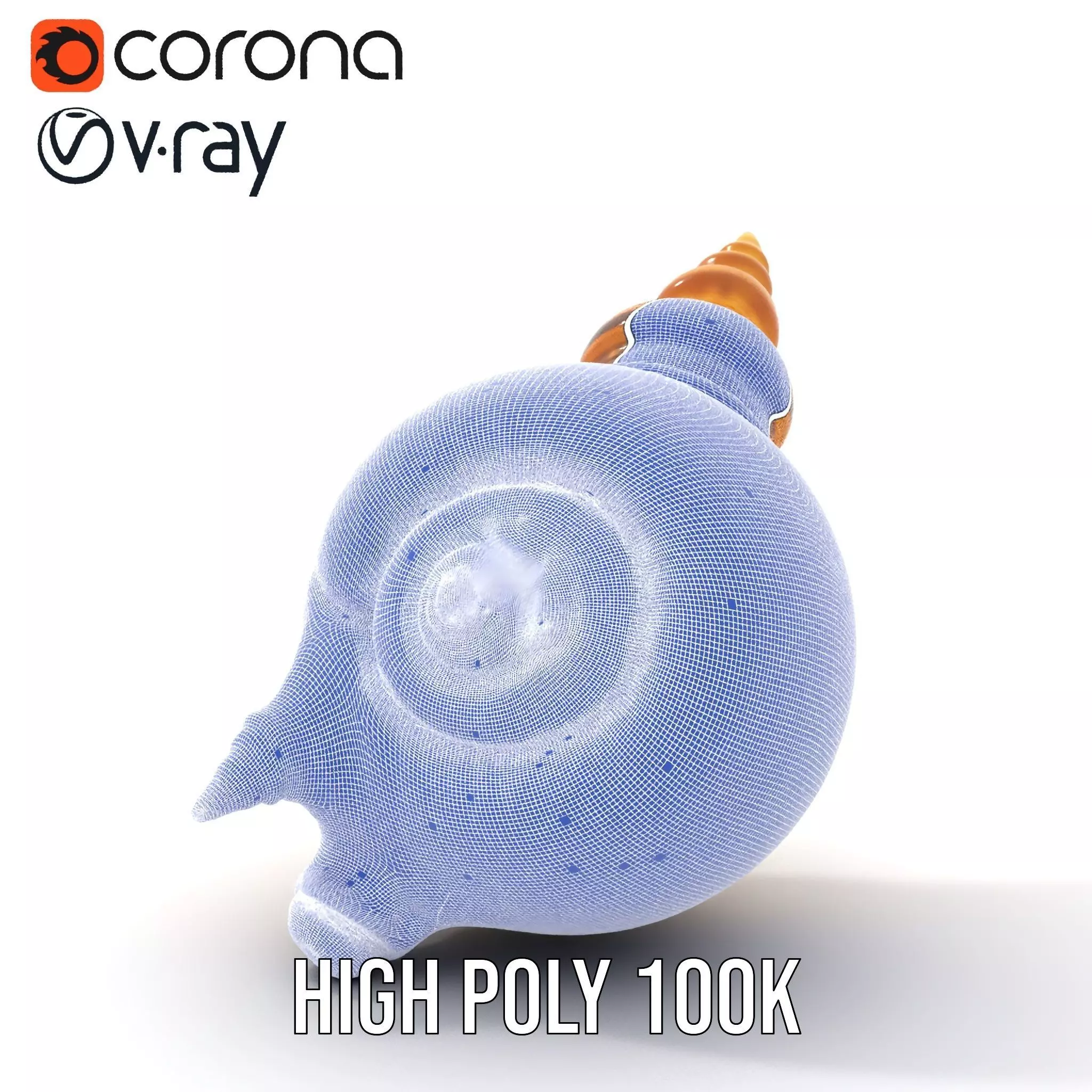 Spiral Nautilus Shell model pack Low-poly 3D model_27