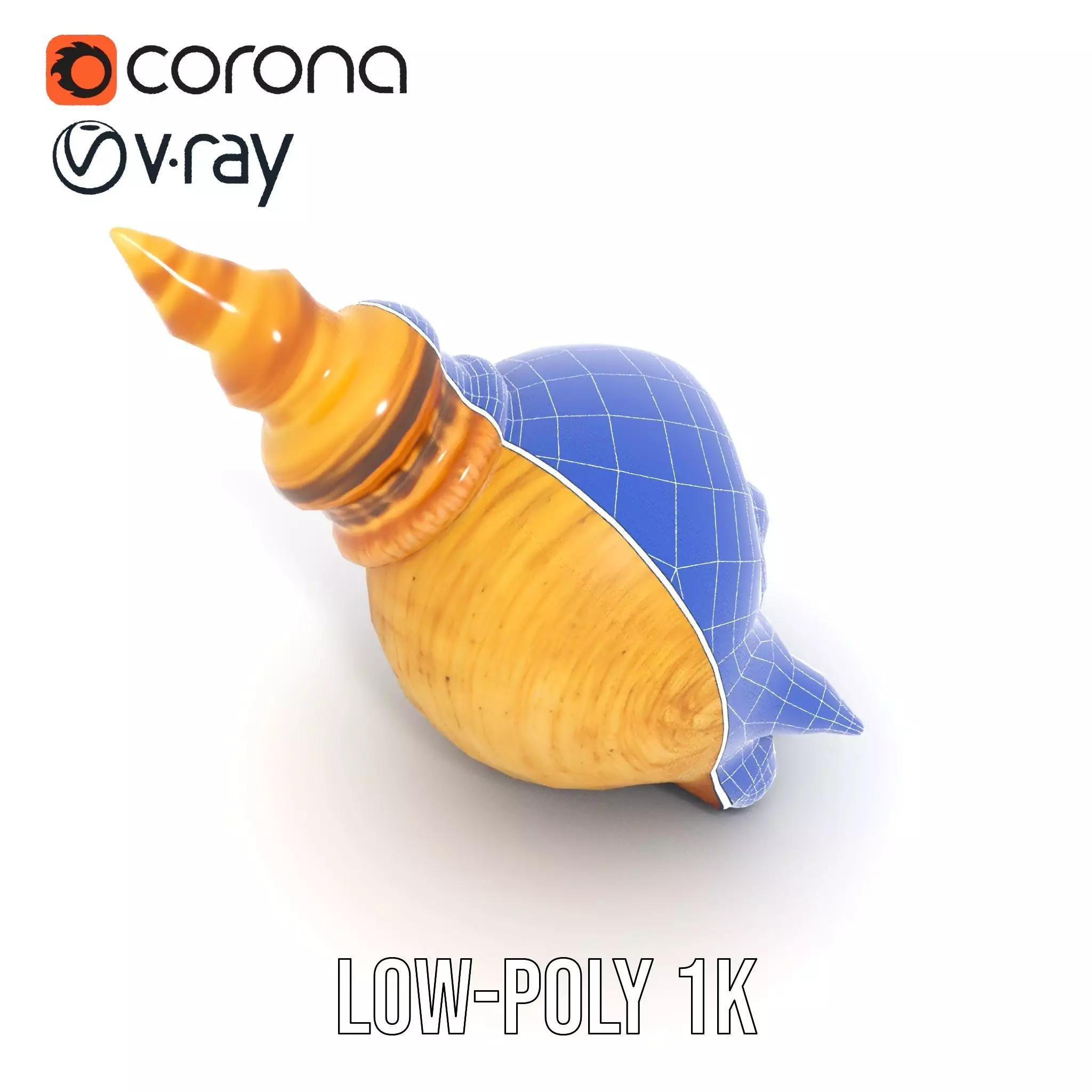 Spiral Nautilus Shell model pack Low-poly 3D model_31