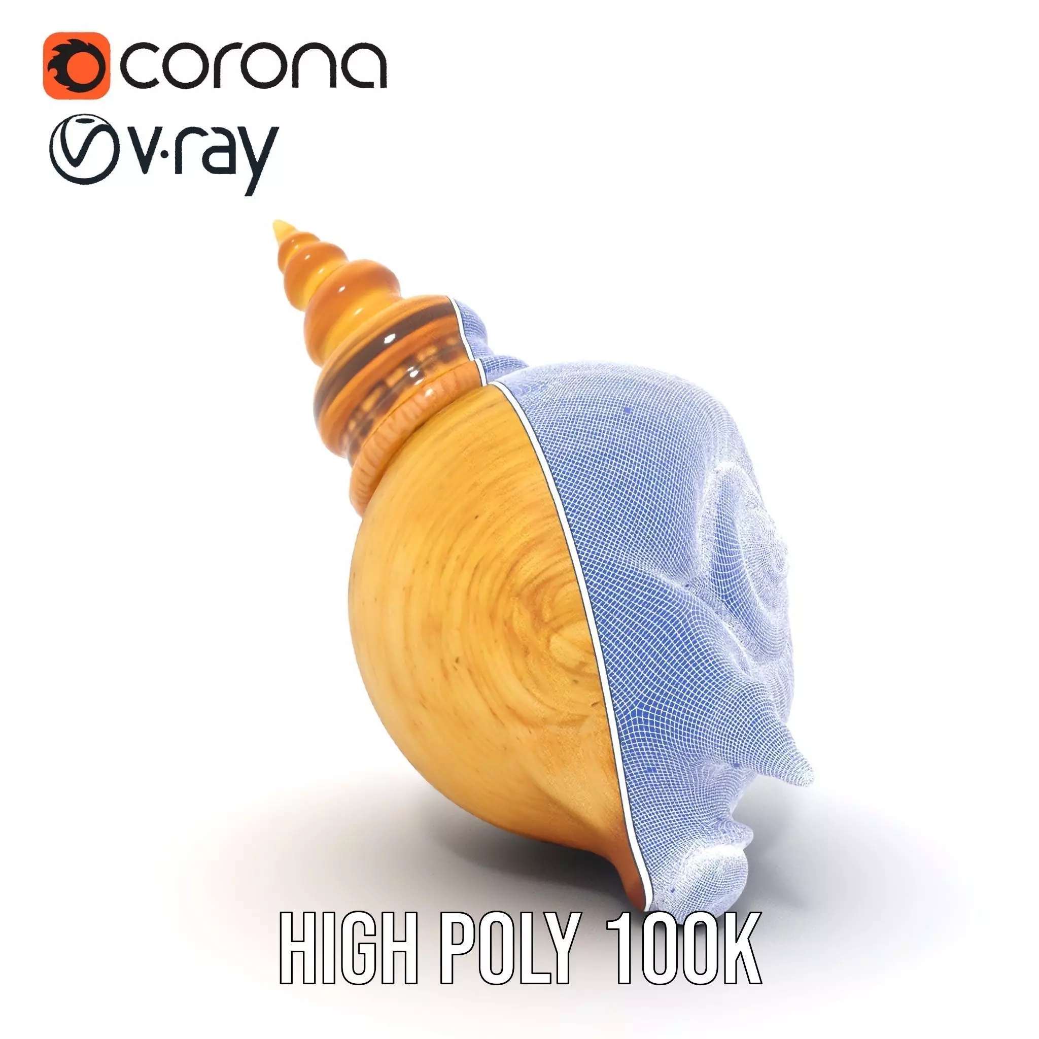 Spiral Nautilus Shell model pack Low-poly 3D model_35