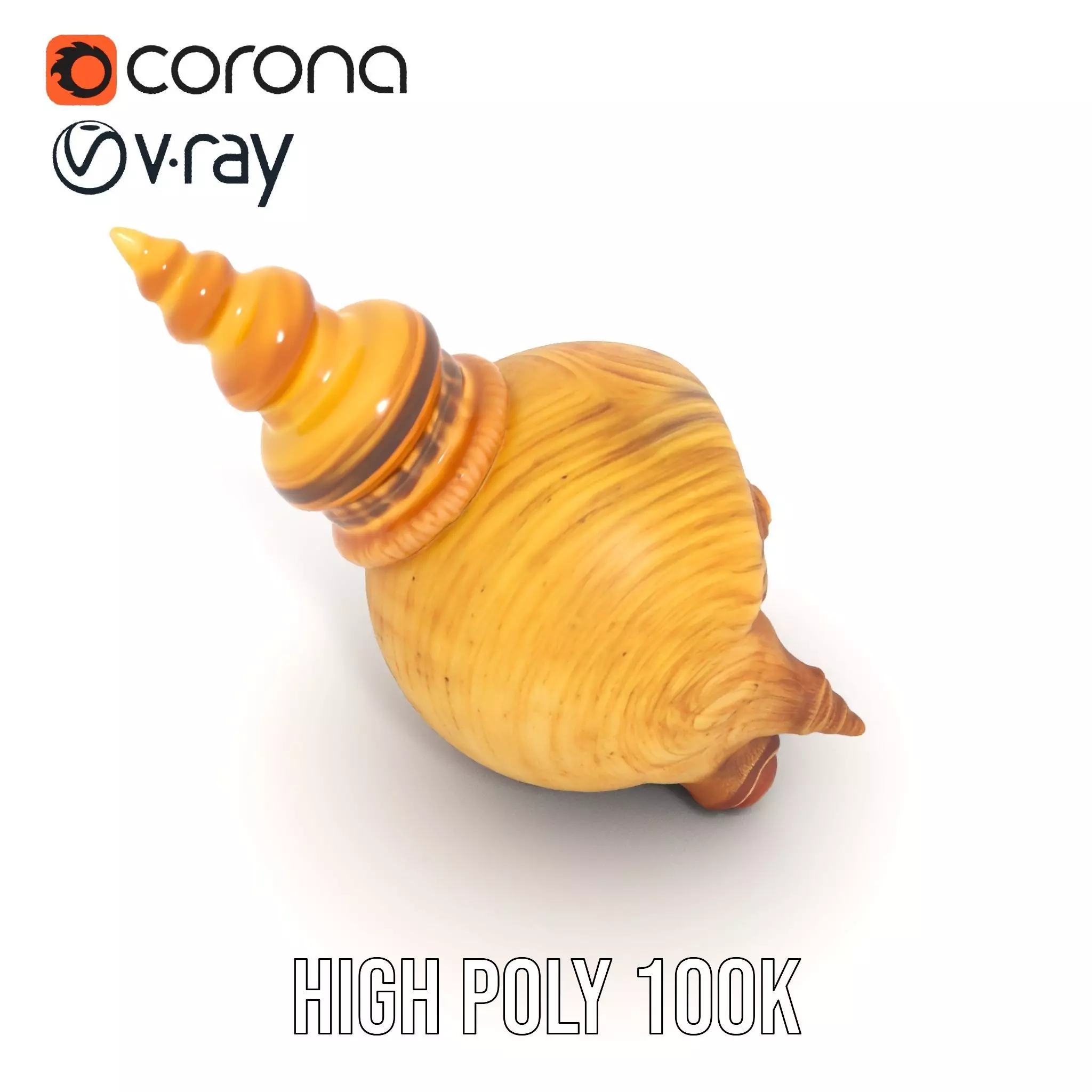 Spiral Nautilus Shell model pack Low-poly 3D model_22