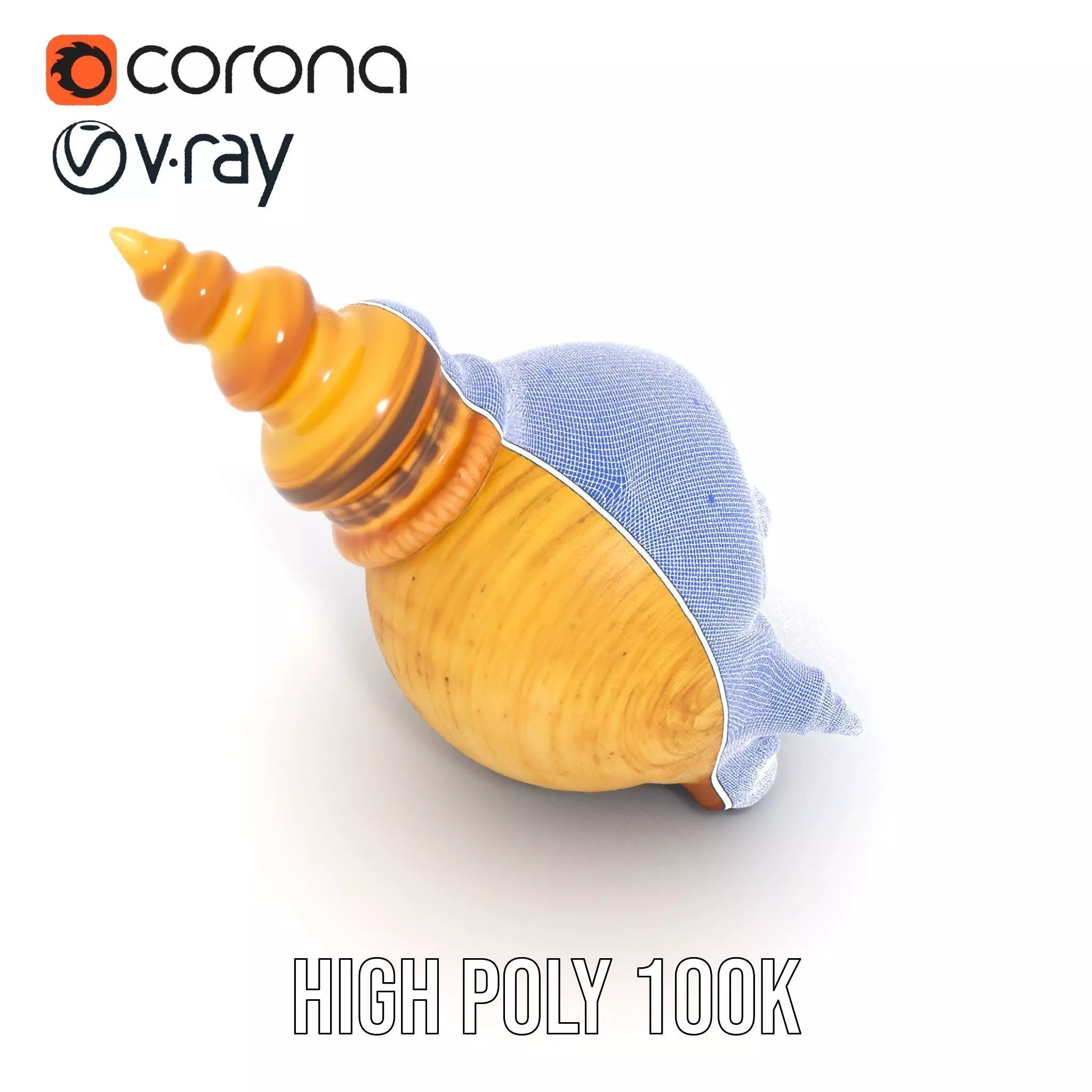 Spiral Nautilus Shell model pack Low-poly 3D model_32