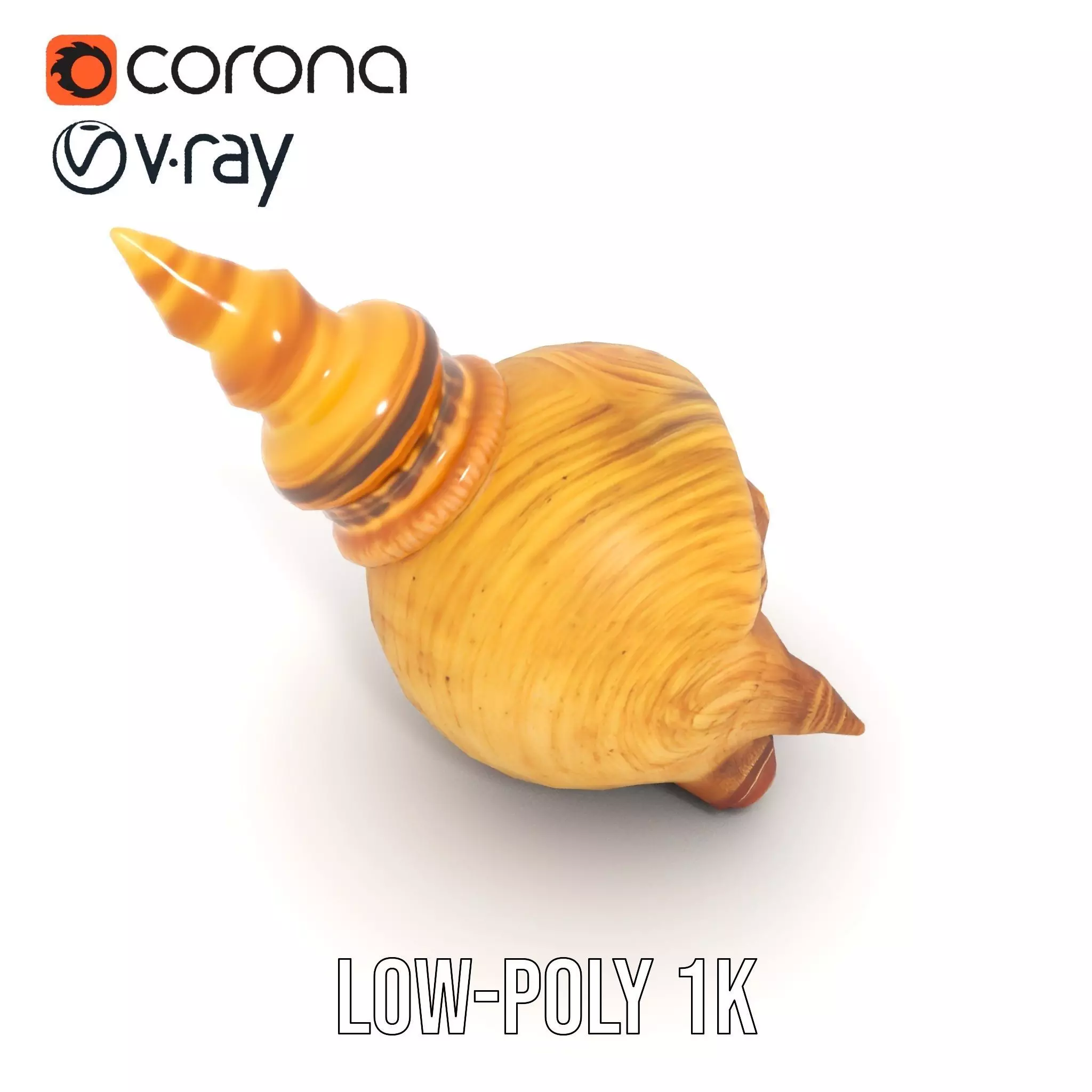 Spiral Nautilus Shell model pack Low-poly 3D model_10
