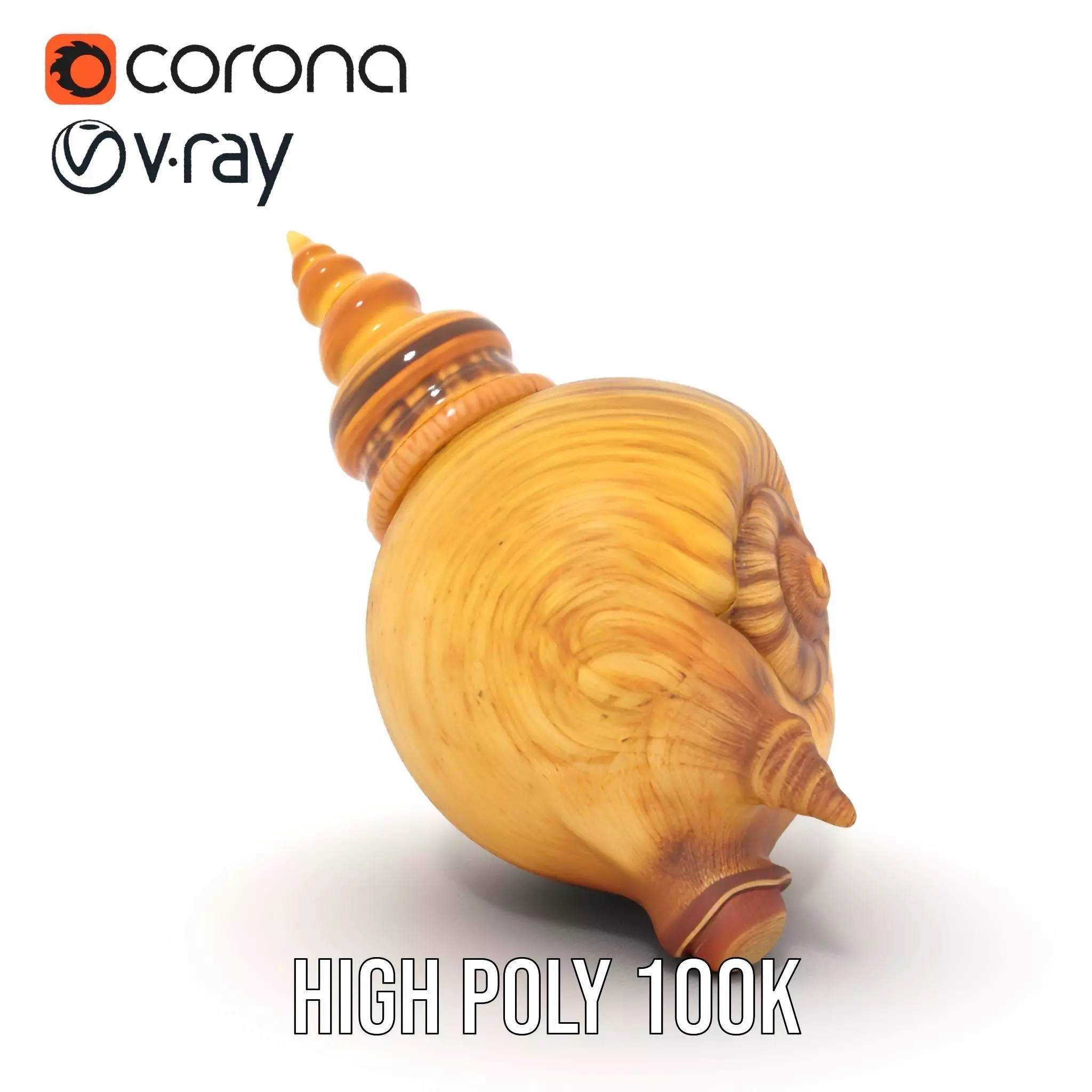 Spiral Nautilus Shell model pack Low-poly 3D model_33