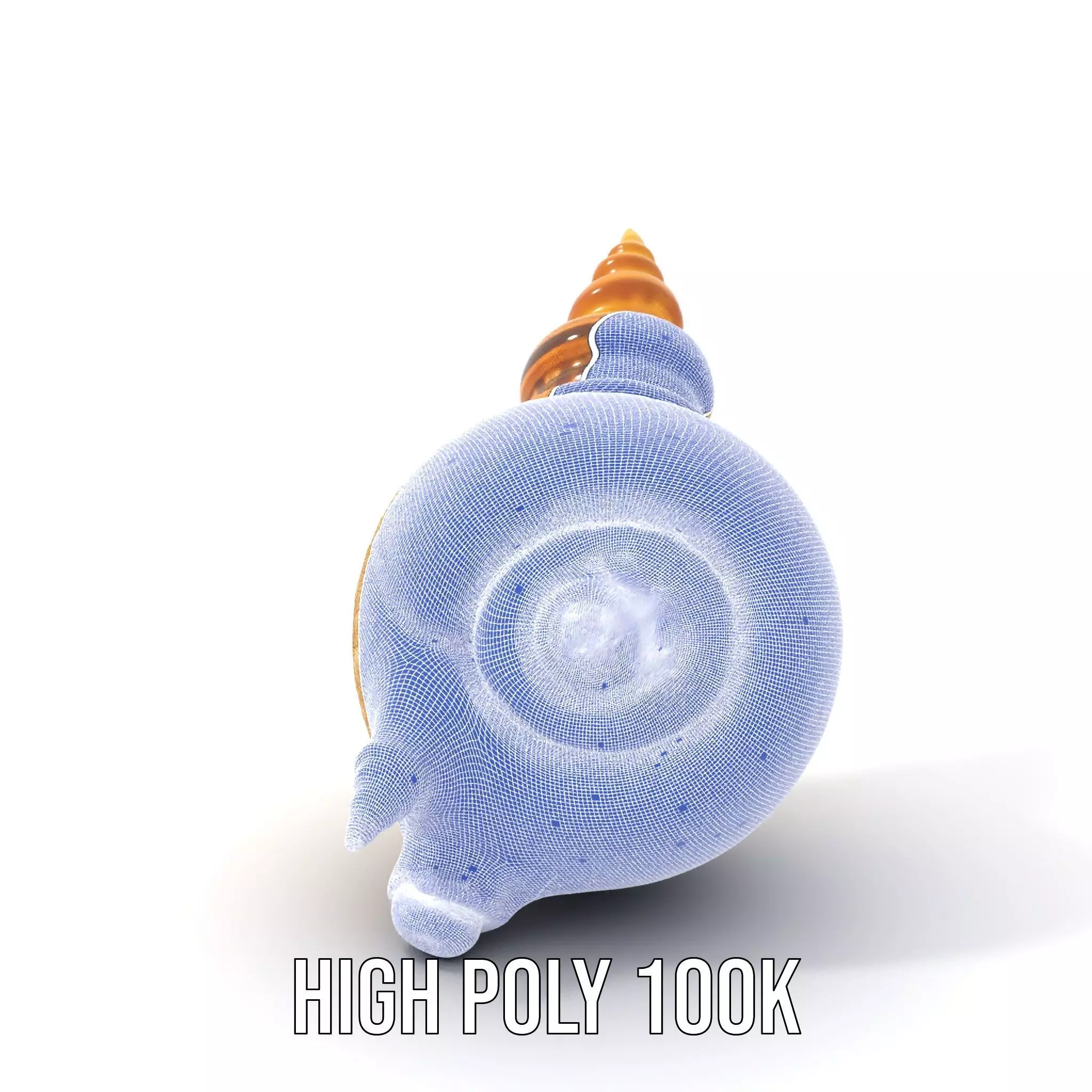 Spiral Nautilus Shell model pack Low-poly 3D model_5
