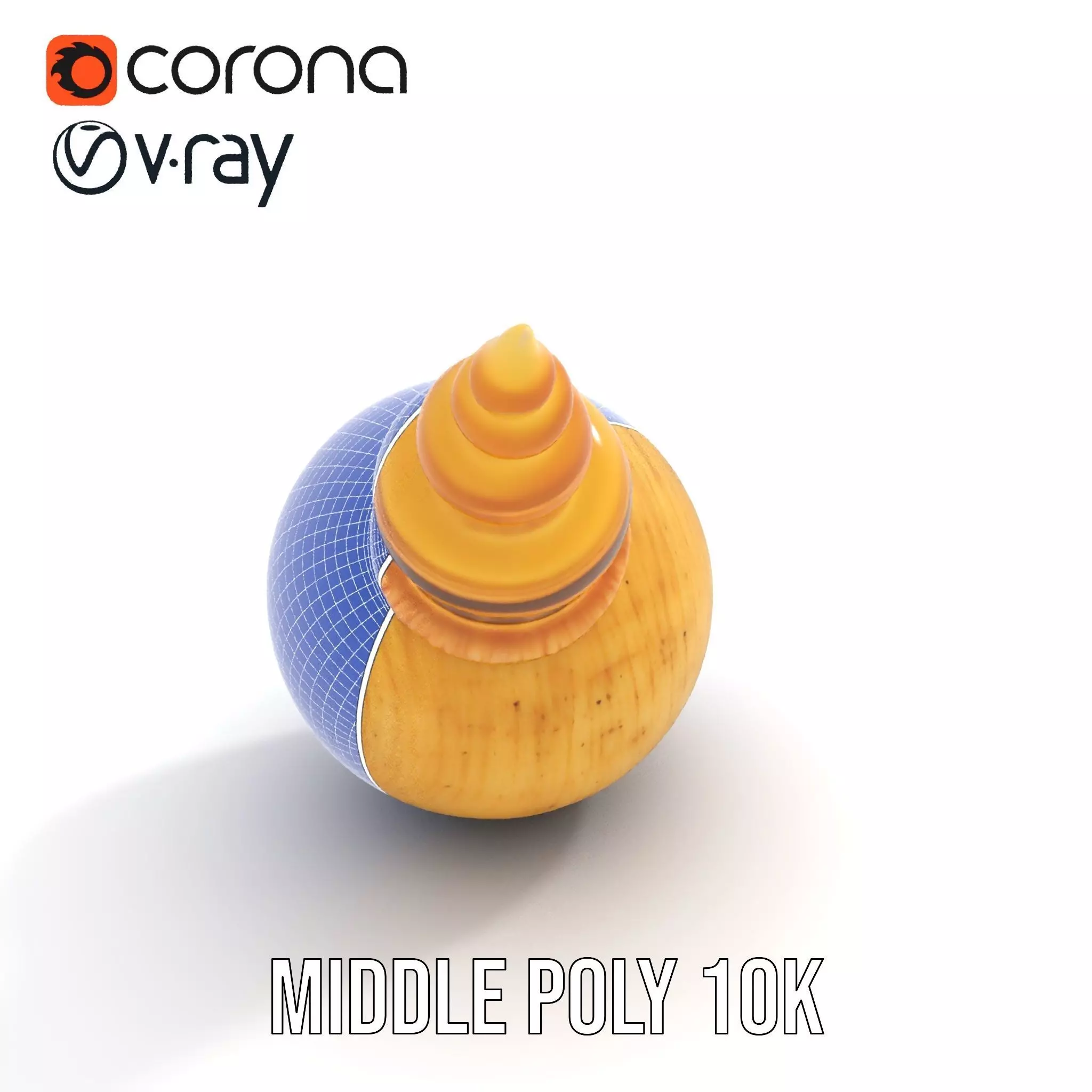 Spiral Nautilus Shell model pack Low-poly 3D model_20
