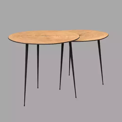 Tolzira Coffee Table