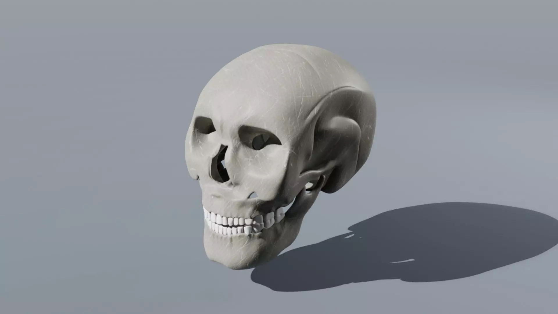 Realistic Skull   High-Quality Anatomy Asset 3D model_0