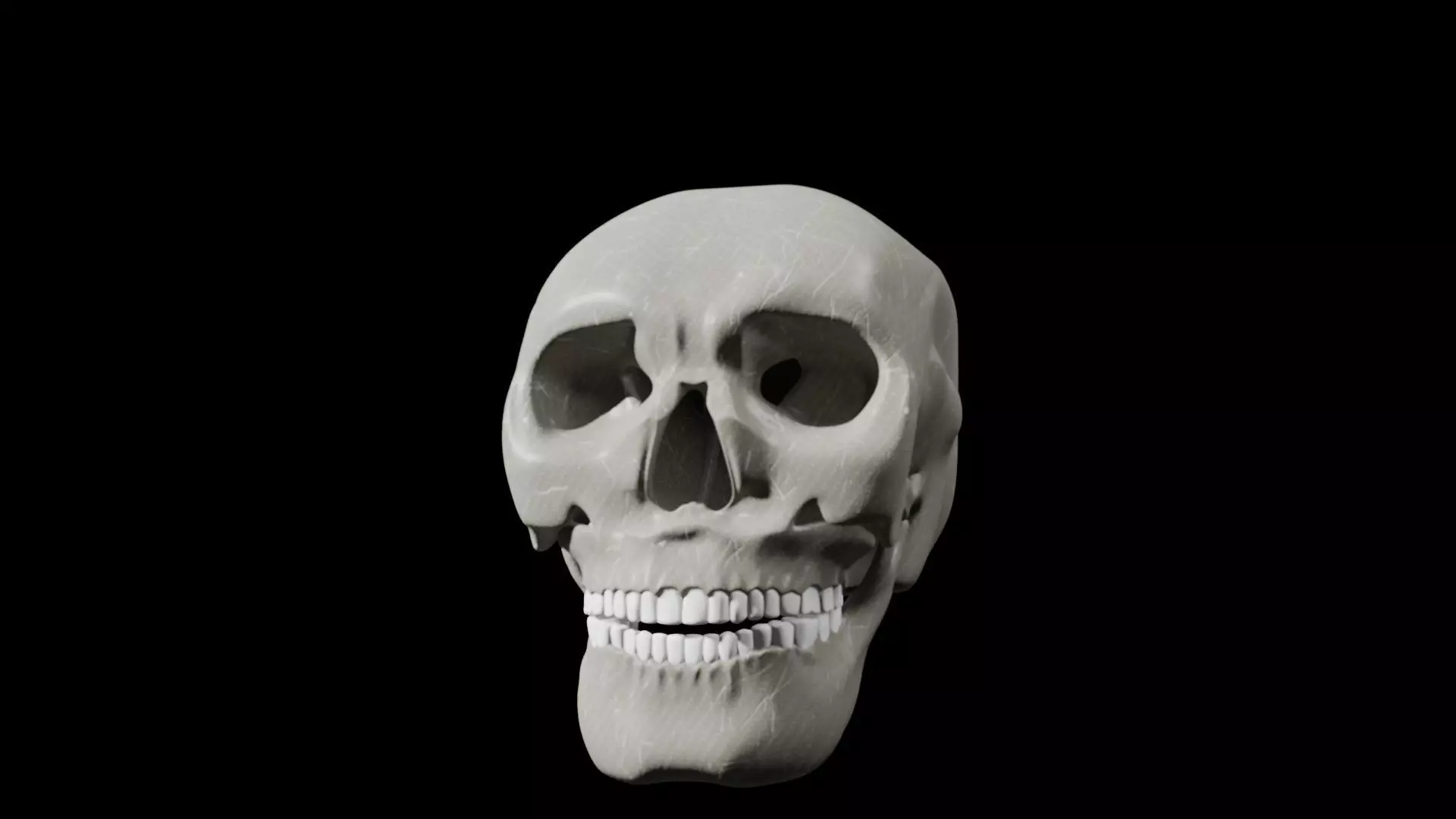 Realistic Skull   High-Quality Anatomy Asset 3D model_7