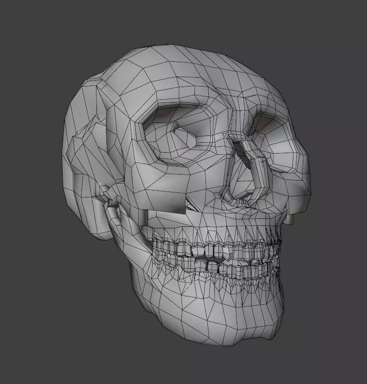 Realistic Skull   High-Quality Anatomy Asset 3D model_6