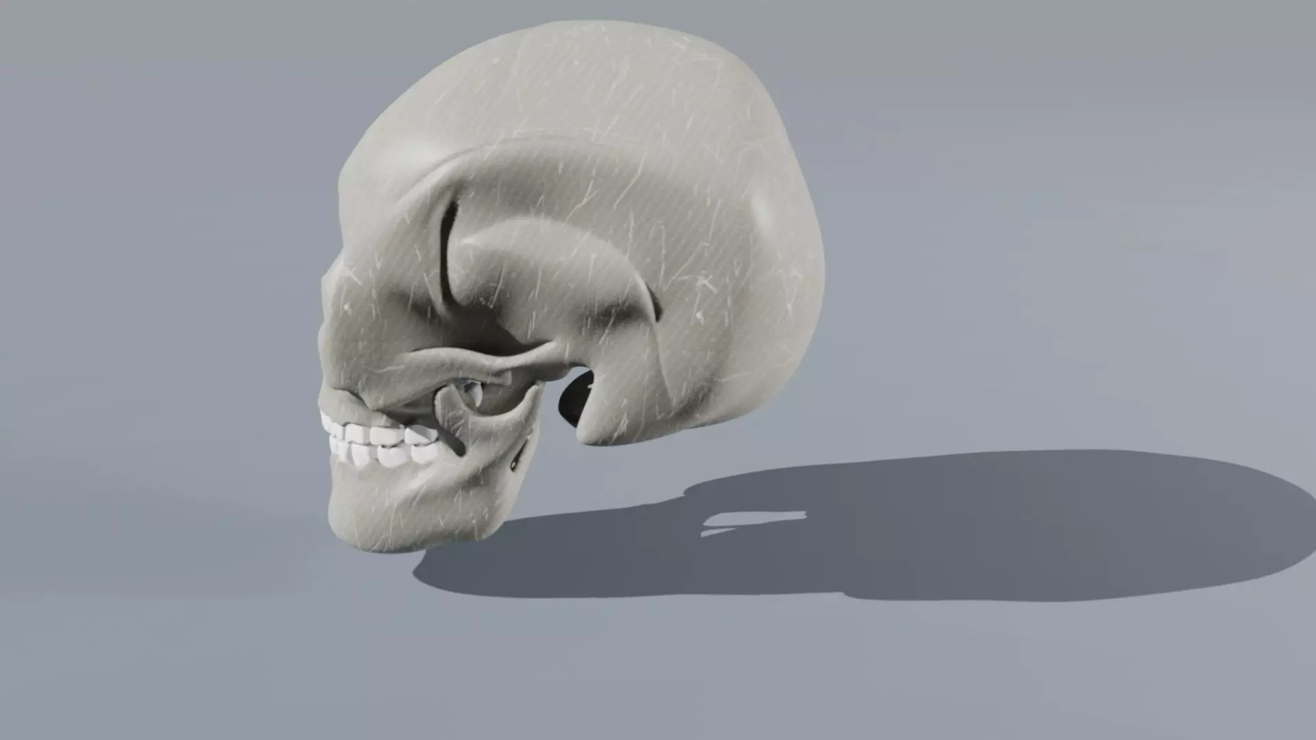 Realistic Skull   High-Quality Anatomy Asset 3D model_2