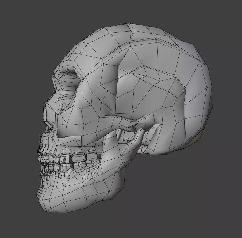 Realistic Skull   High-Quality Anatomy Asset 3D model_5
