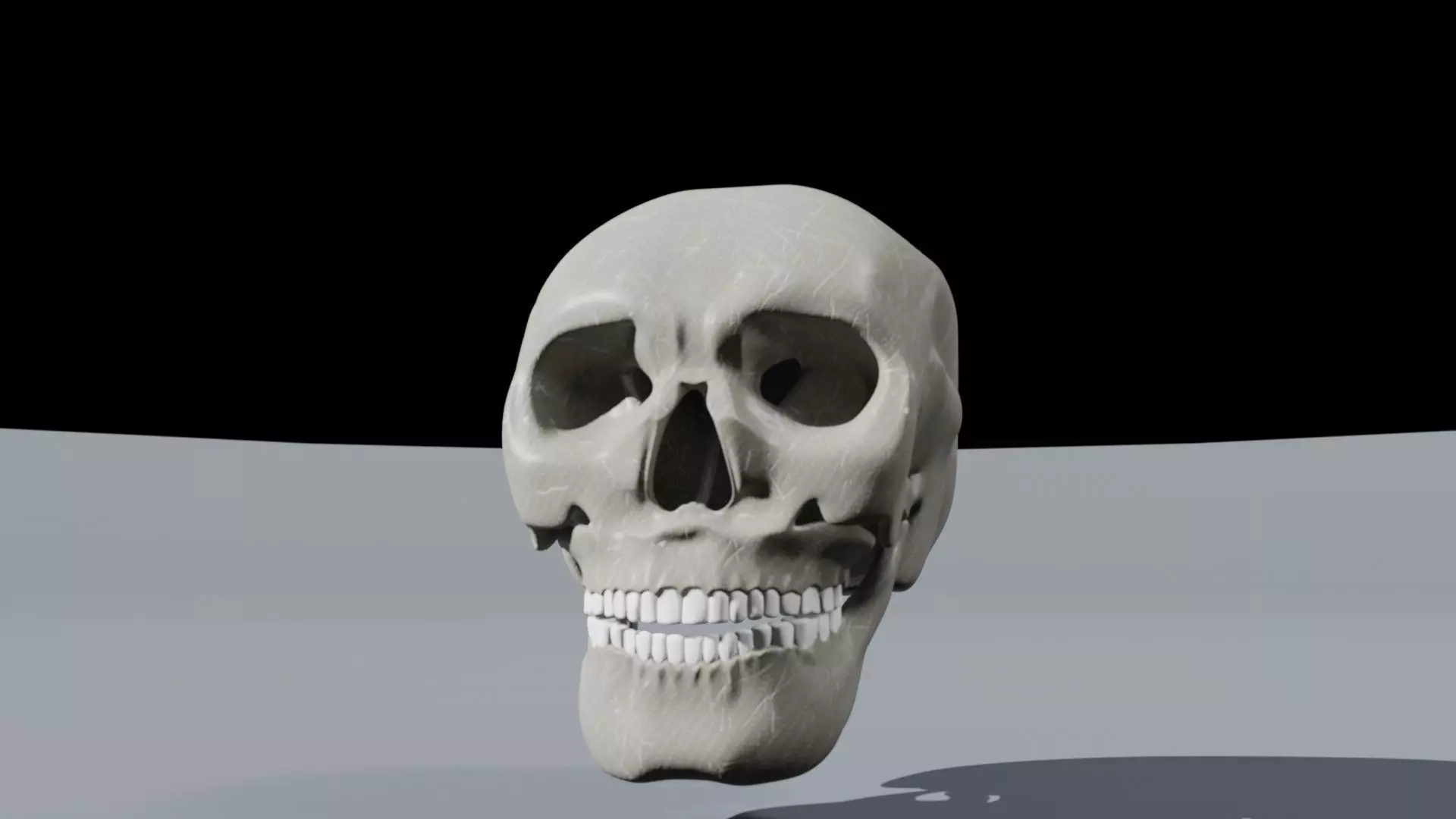 Realistic Skull   High-Quality Anatomy Asset 3D model_3