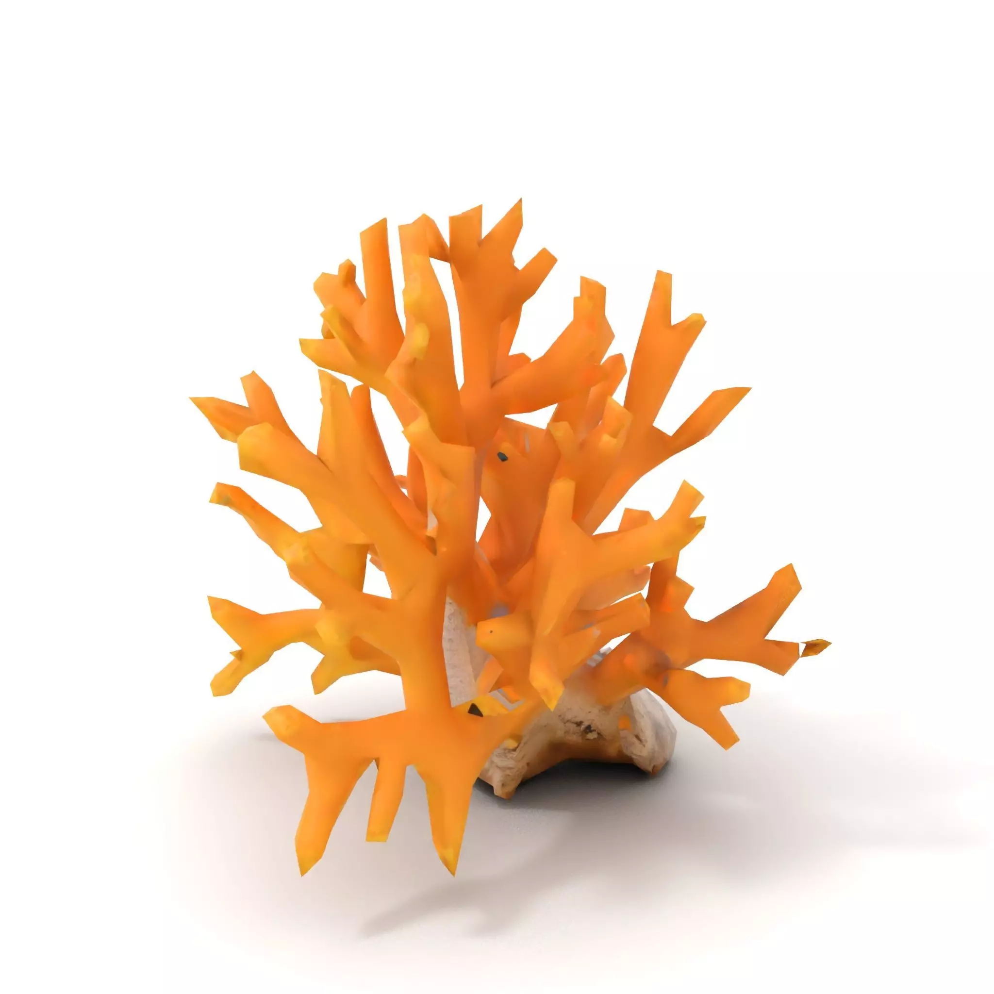 Golden Coral Reef model pack Low-poly 3D model_18