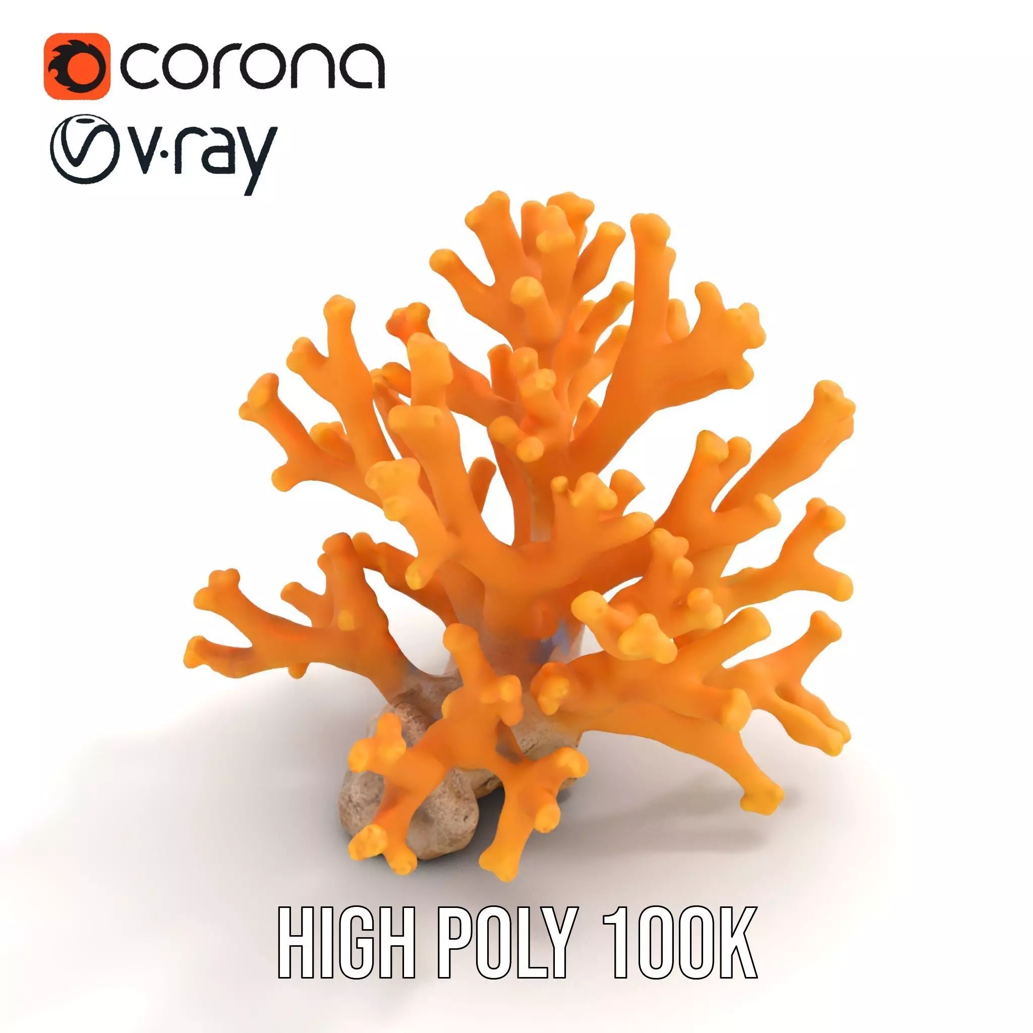 Golden Coral Reef model pack Low-poly 3D model_16