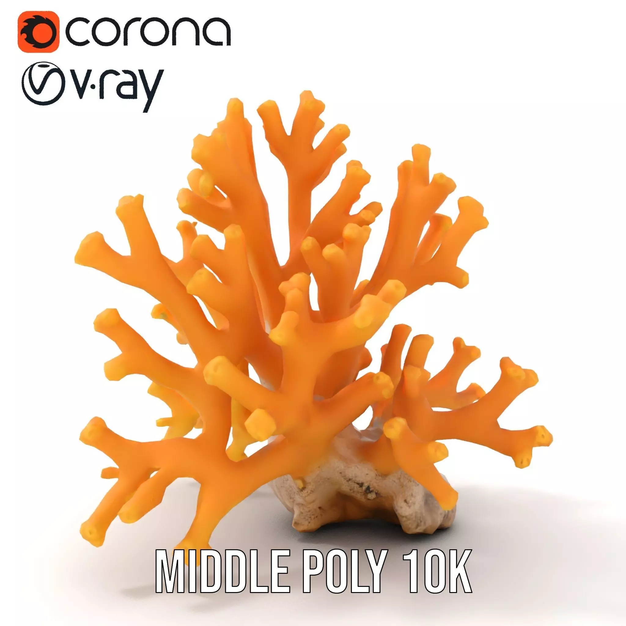 Golden Coral Reef model pack Low-poly 3D model_19