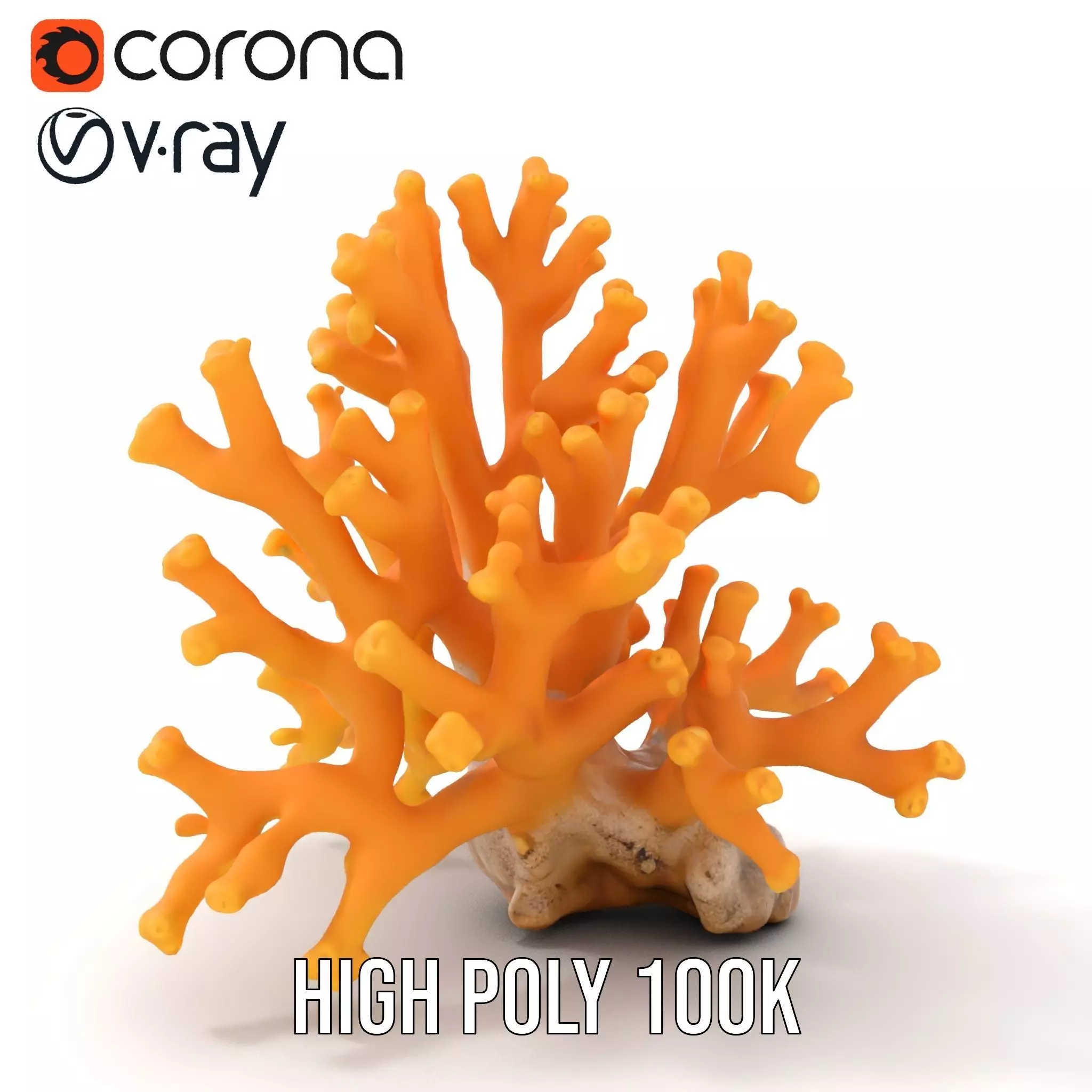 Golden Coral Reef model pack Low-poly 3D model_29