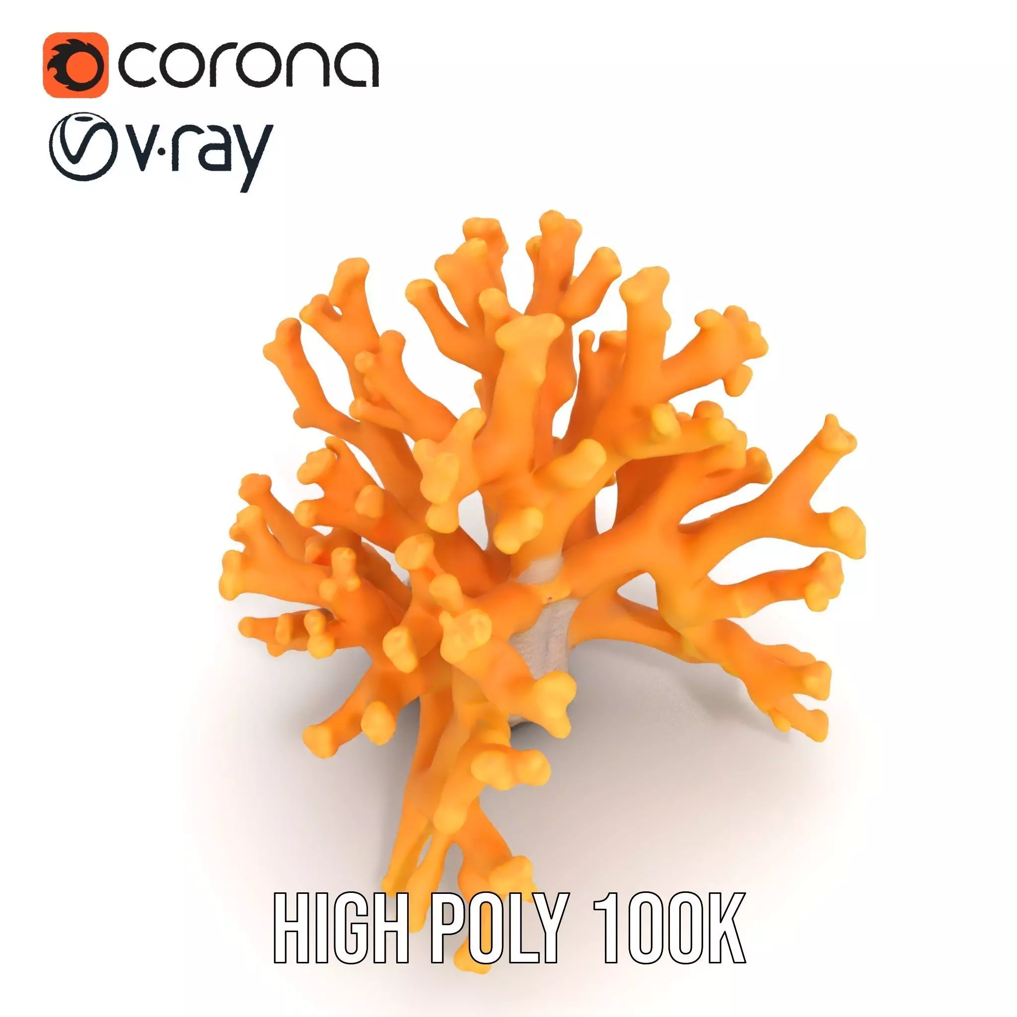 Golden Coral Reef model pack Low-poly 3D model_26