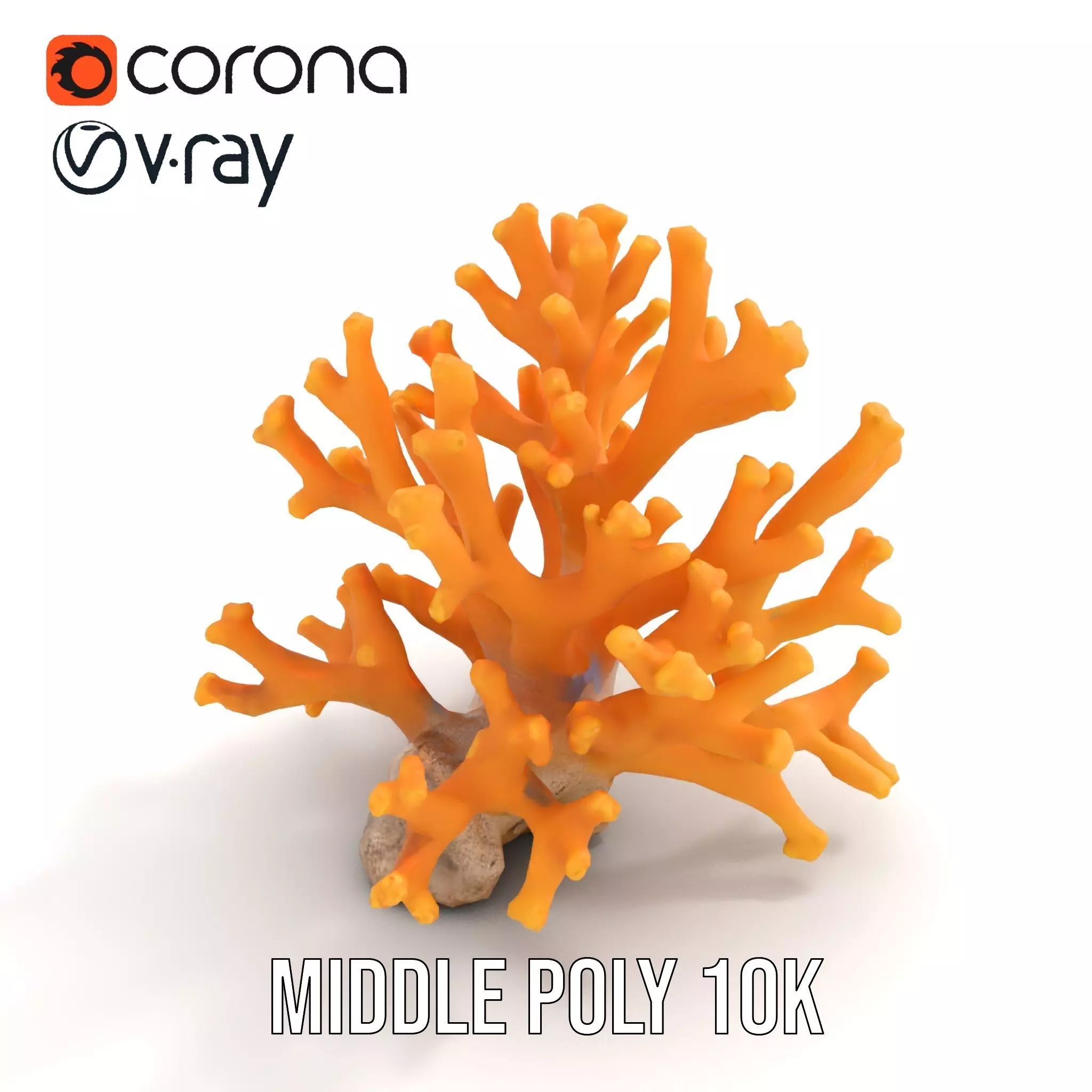 Golden Coral Reef model pack Low-poly 3D model_6