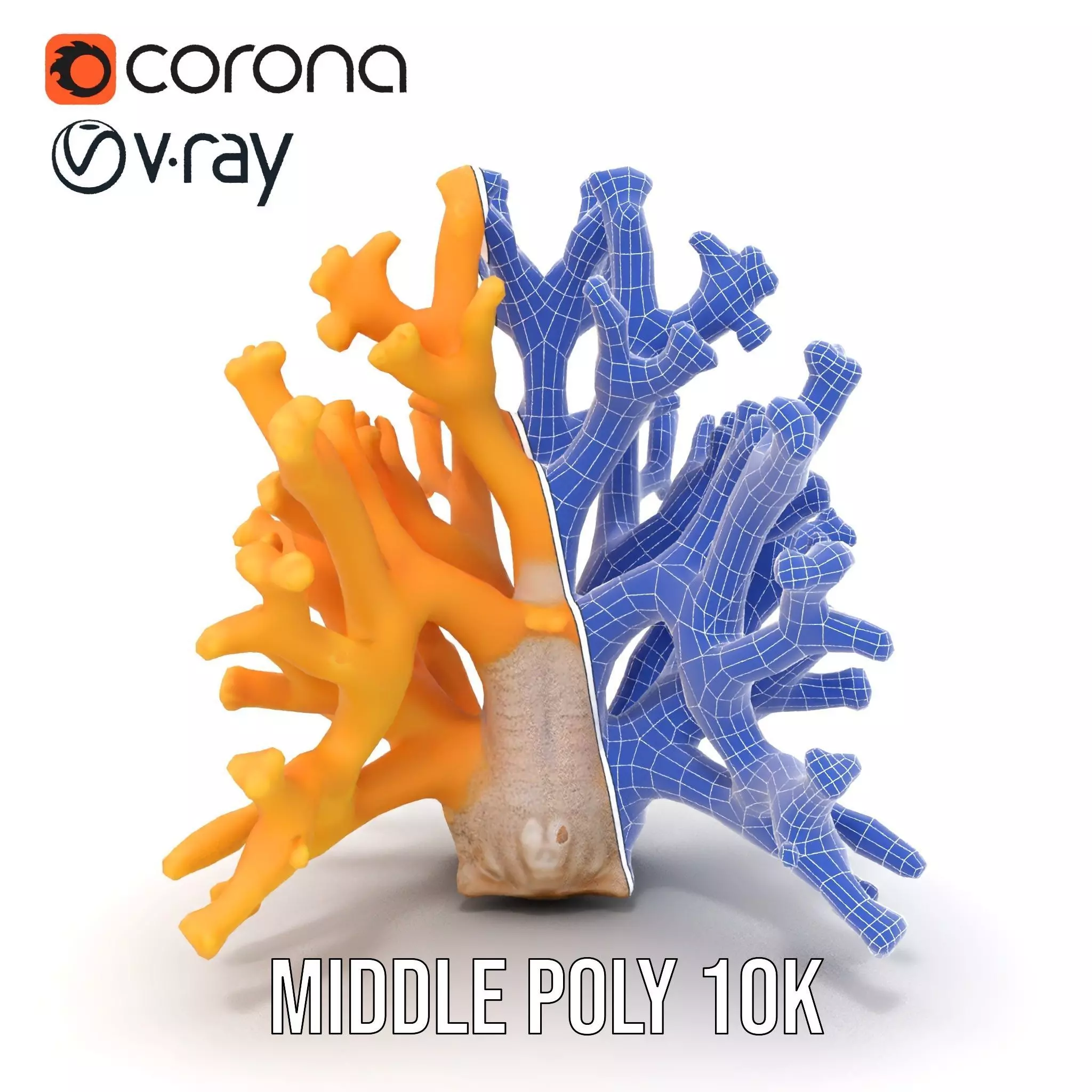 Golden Coral Reef model pack Low-poly 3D model_30