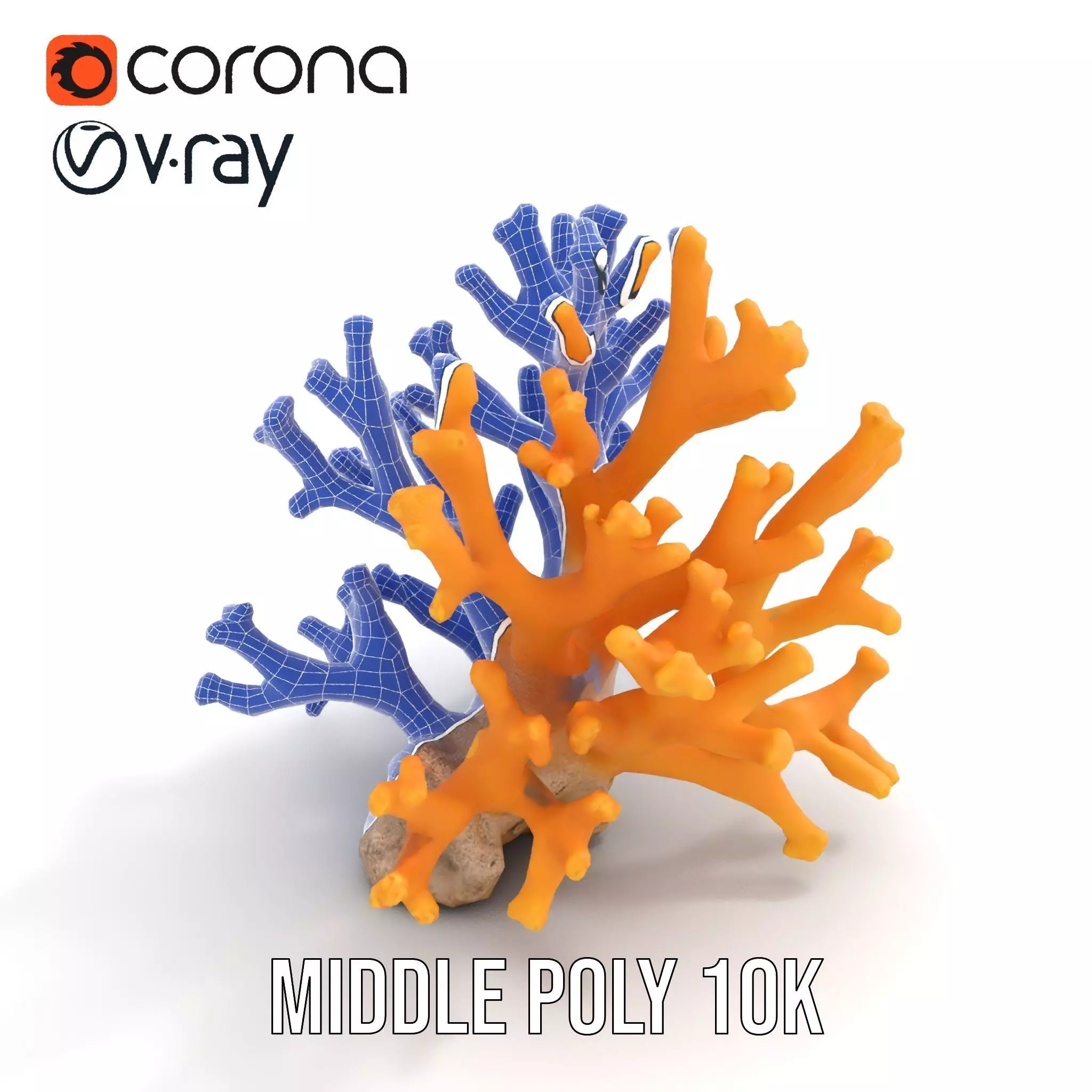 Golden Coral Reef model pack Low-poly 3D model_14