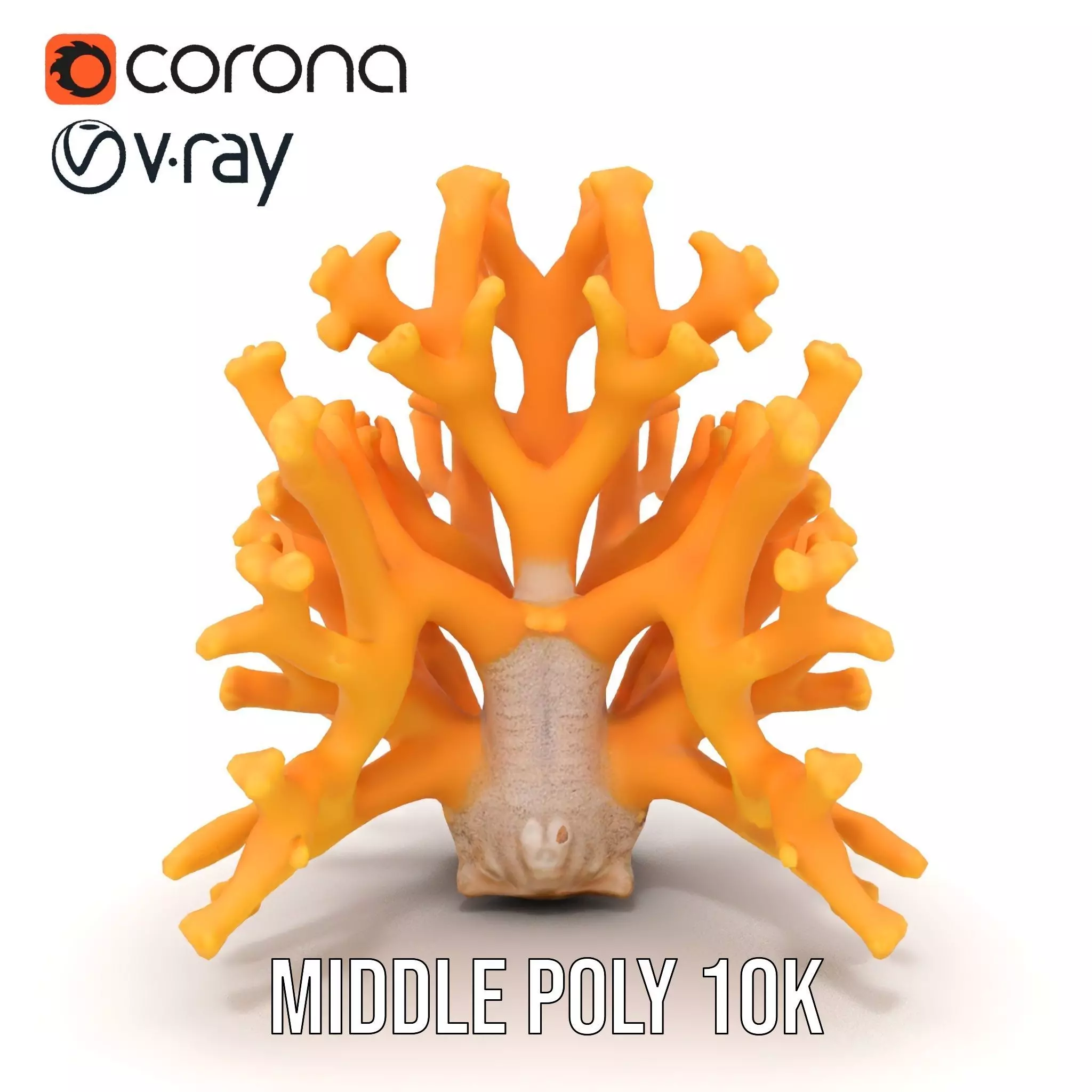 Golden Coral Reef model pack Low-poly 3D model_17