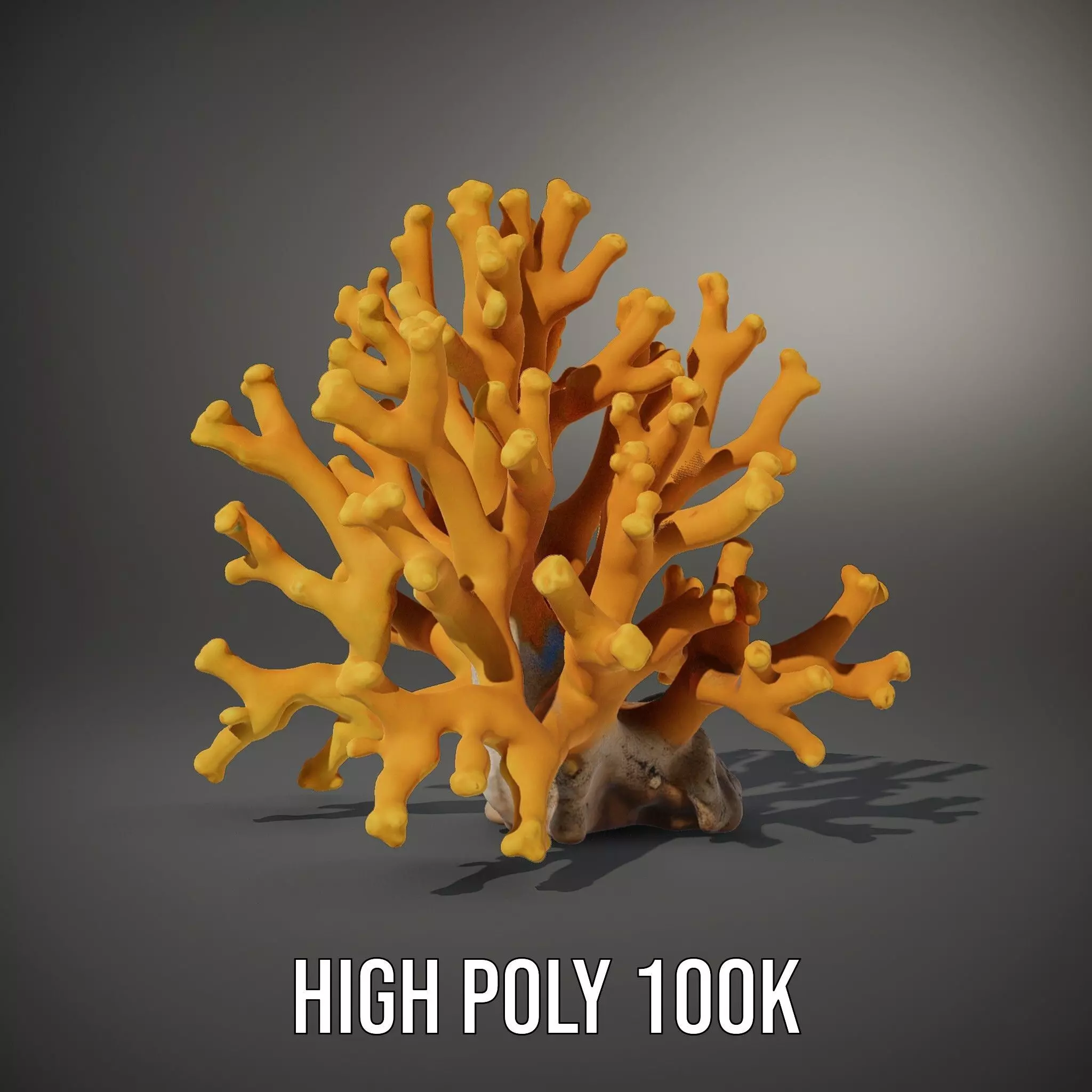 Golden Coral Reef model pack Low-poly 3D model_11