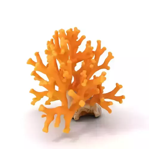 Golden Coral Reef model pack Low-poly 3D model