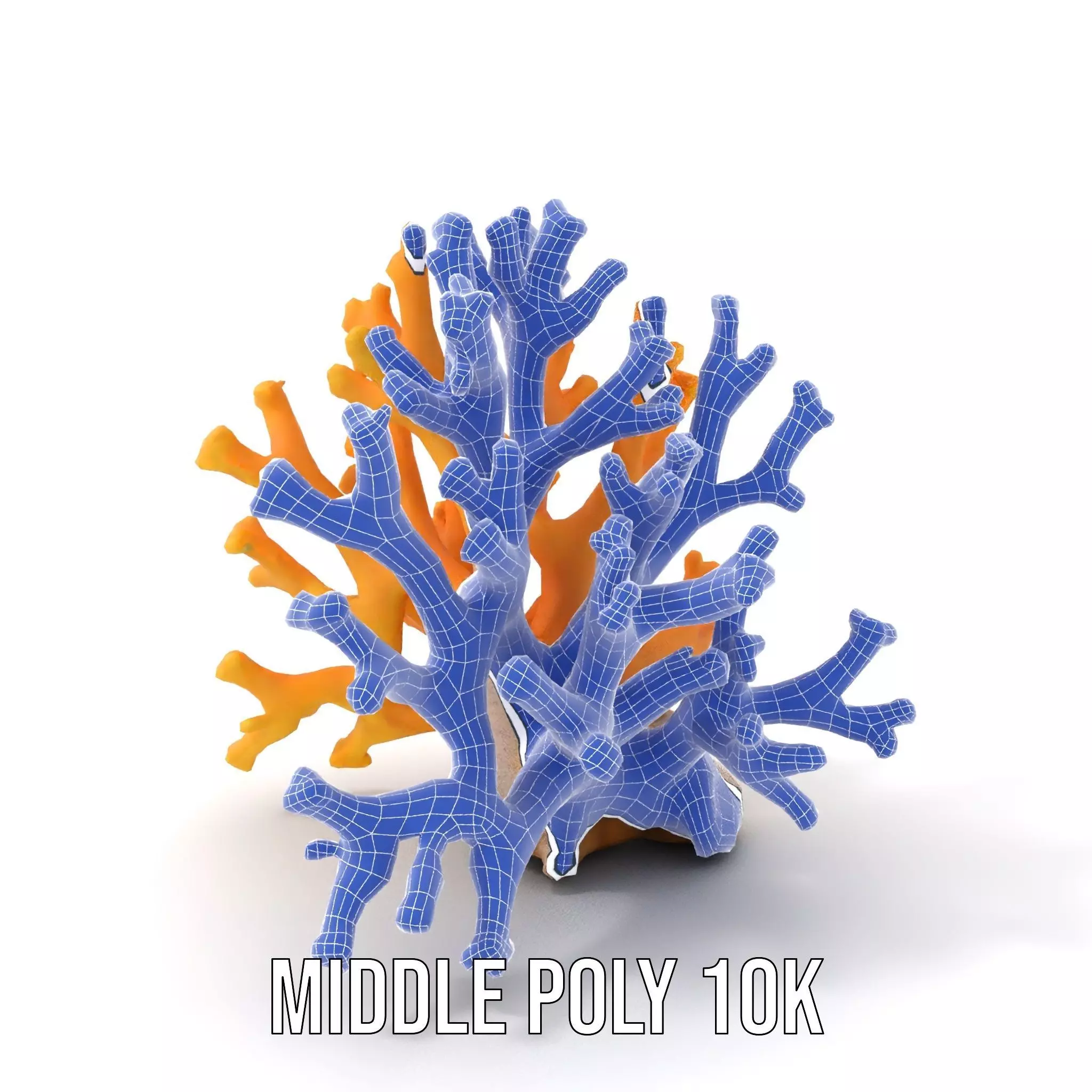 Golden Coral Reef model pack Low-poly 3D model_12