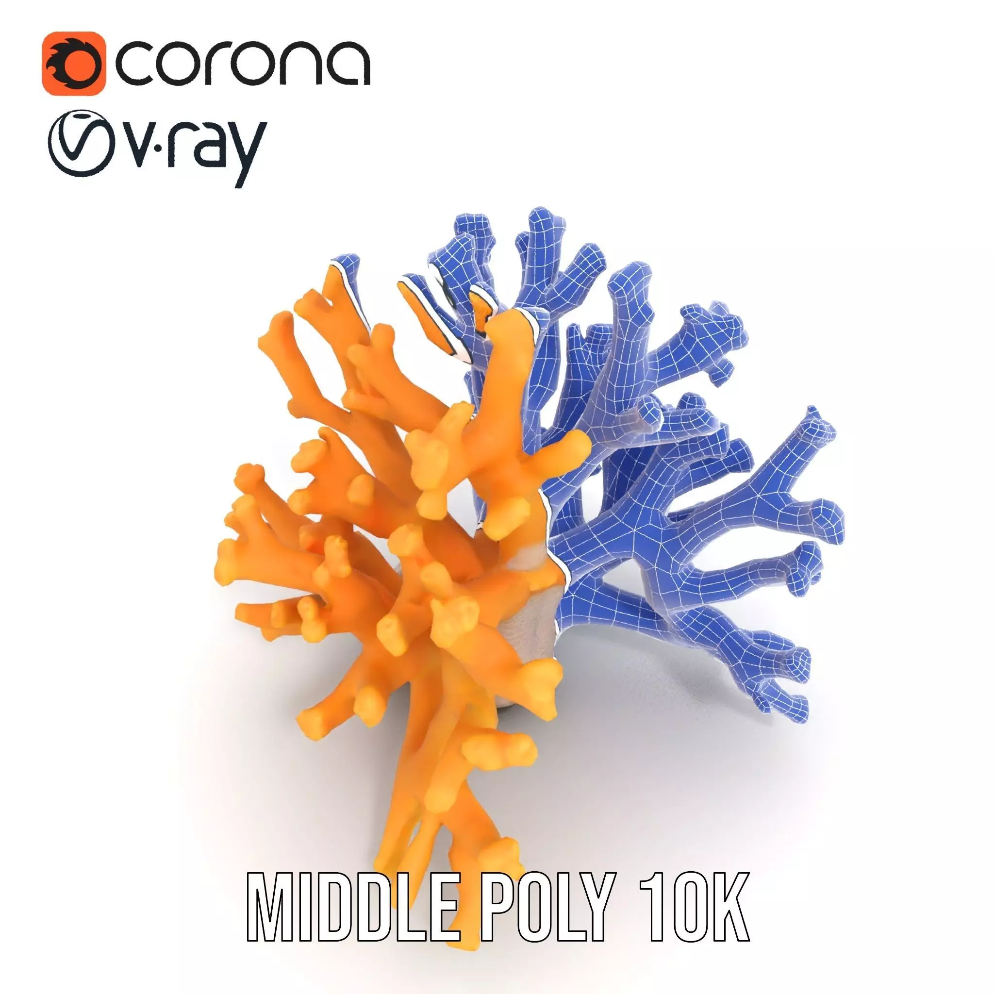 Golden Coral Reef model pack Low-poly 3D model_24