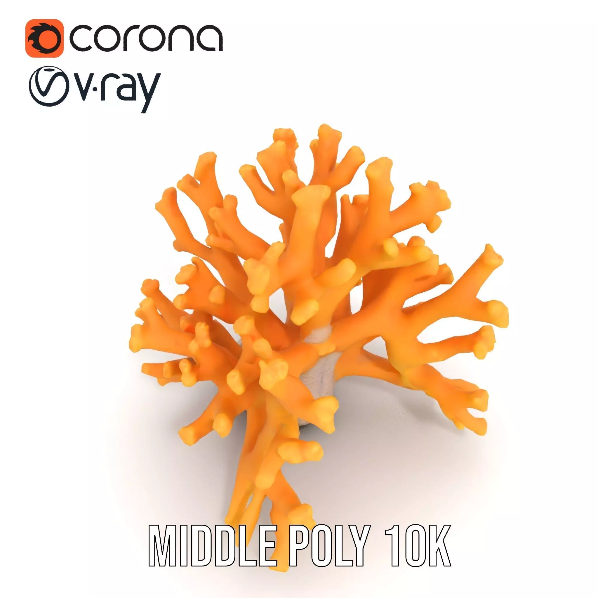 Golden Coral Reef model pack Low-poly 3D model_22
