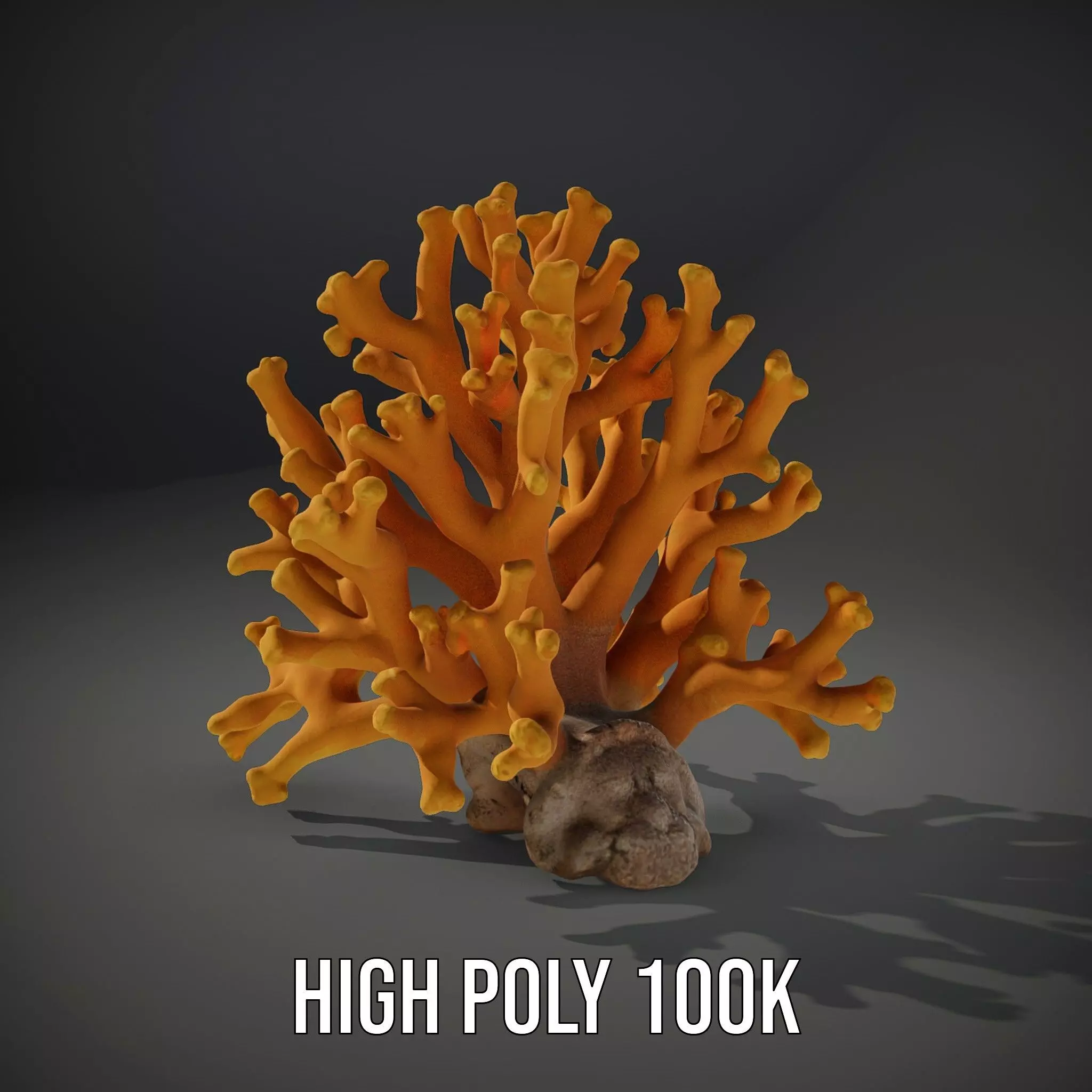 Golden Coral Reef model pack Low-poly 3D model_9