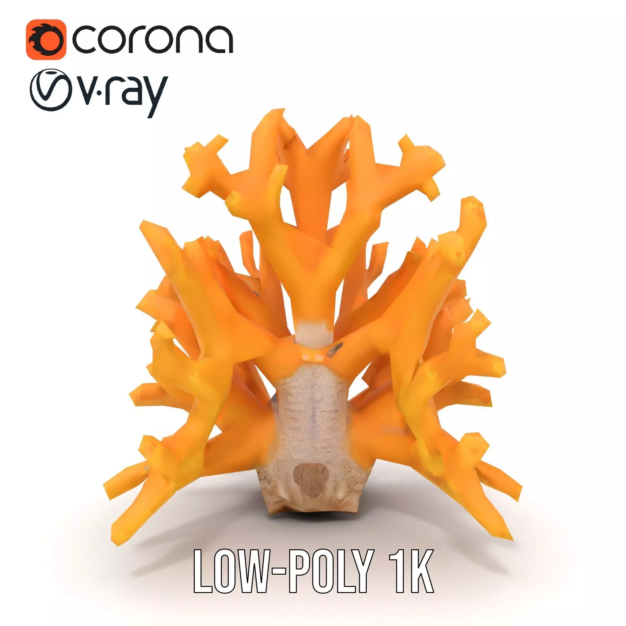 Golden Coral Reef model pack Low-poly 3D model_10