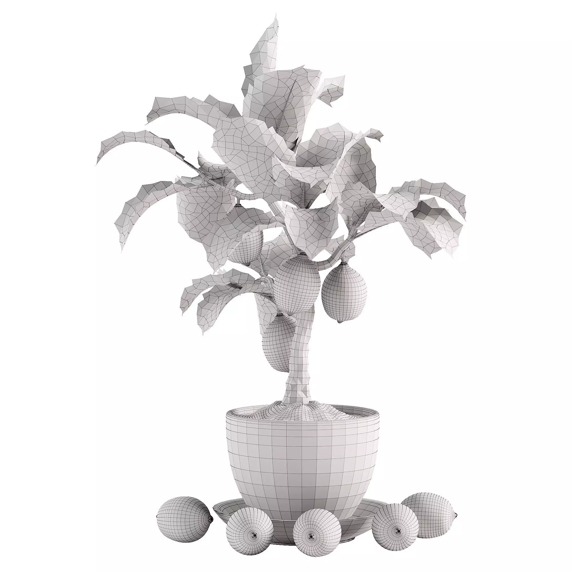 Mini Lemon Tree Free 3D model_2