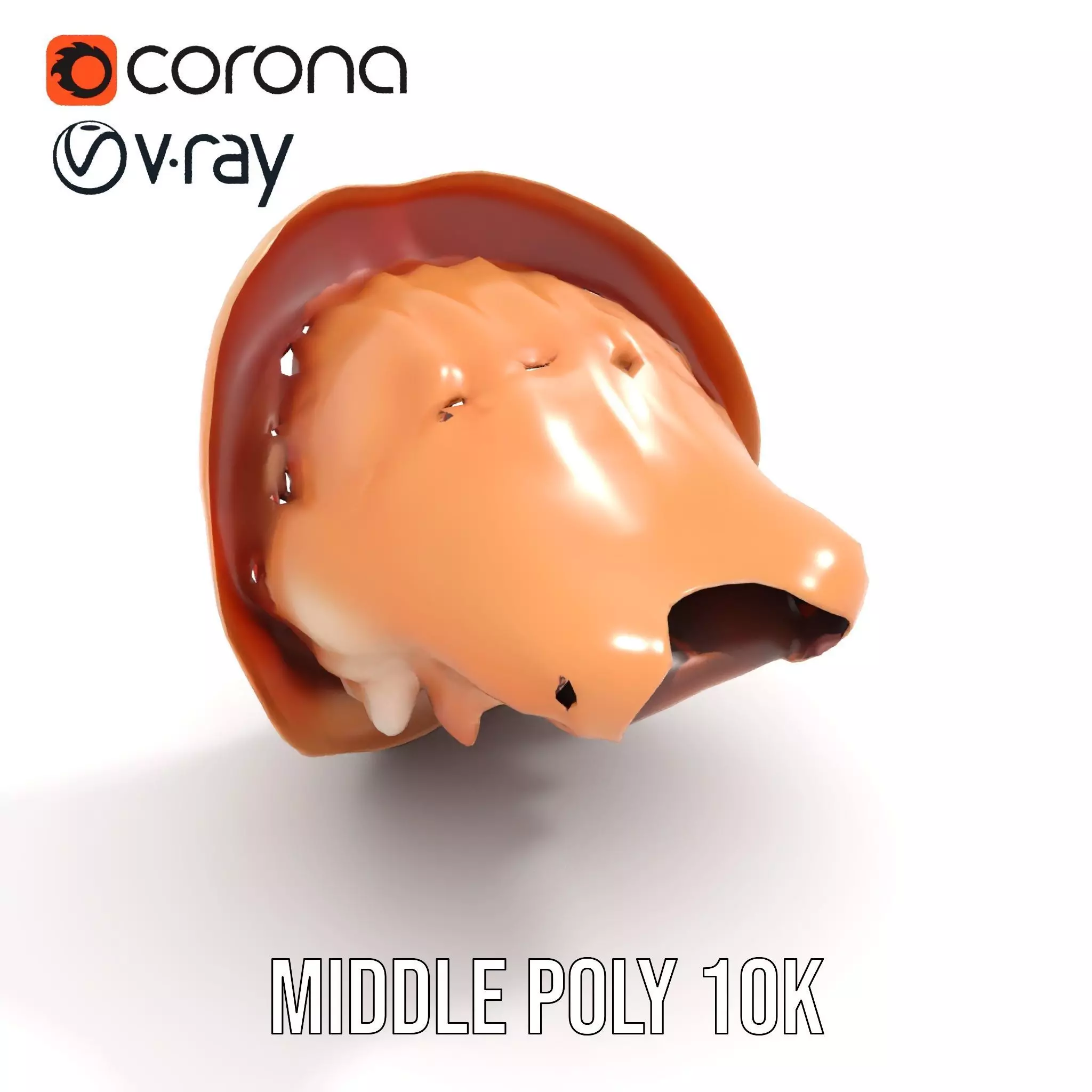 Realistic Open Mouth model pack Low-poly 3D model_6