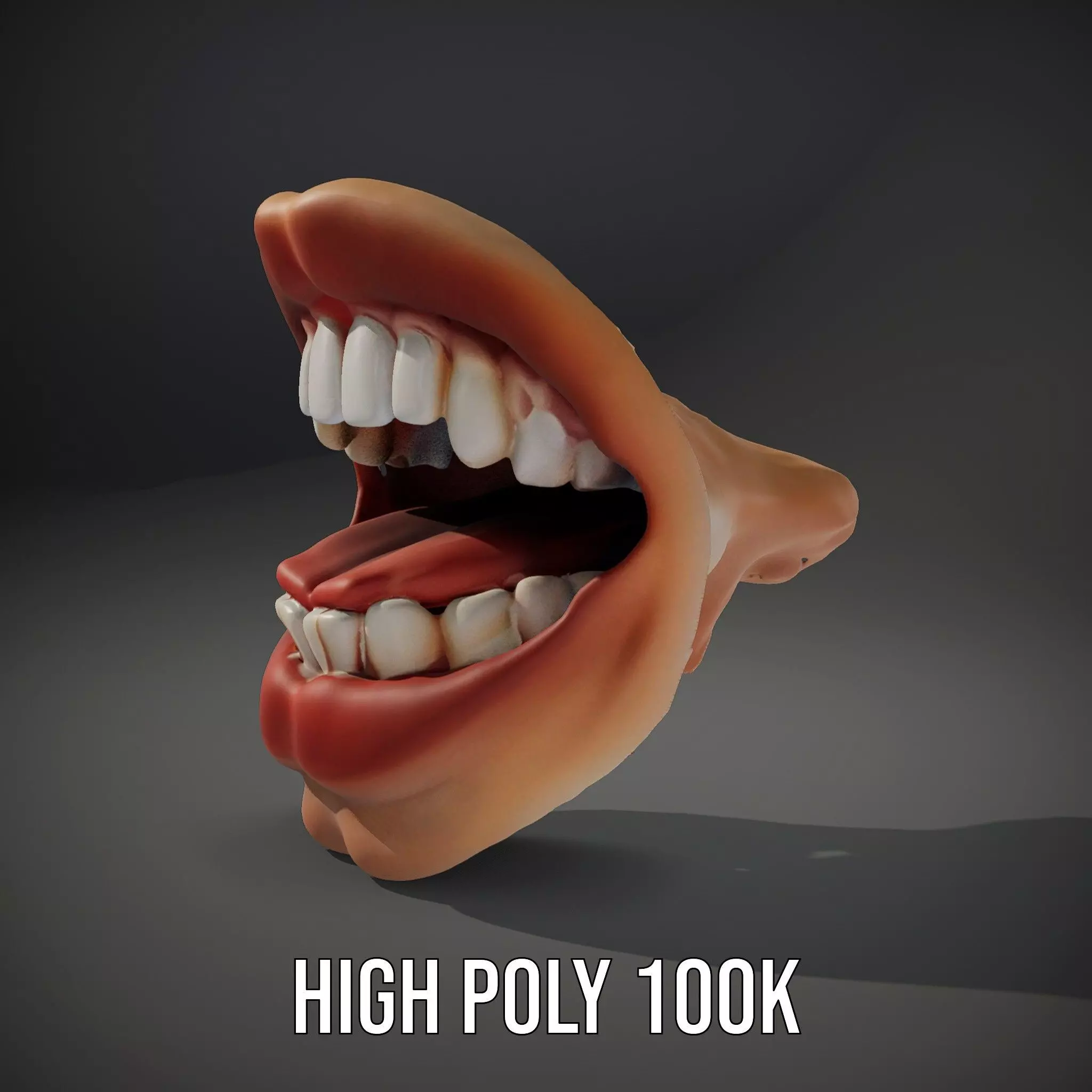 Realistic Open Mouth model pack Low-poly 3D model_11