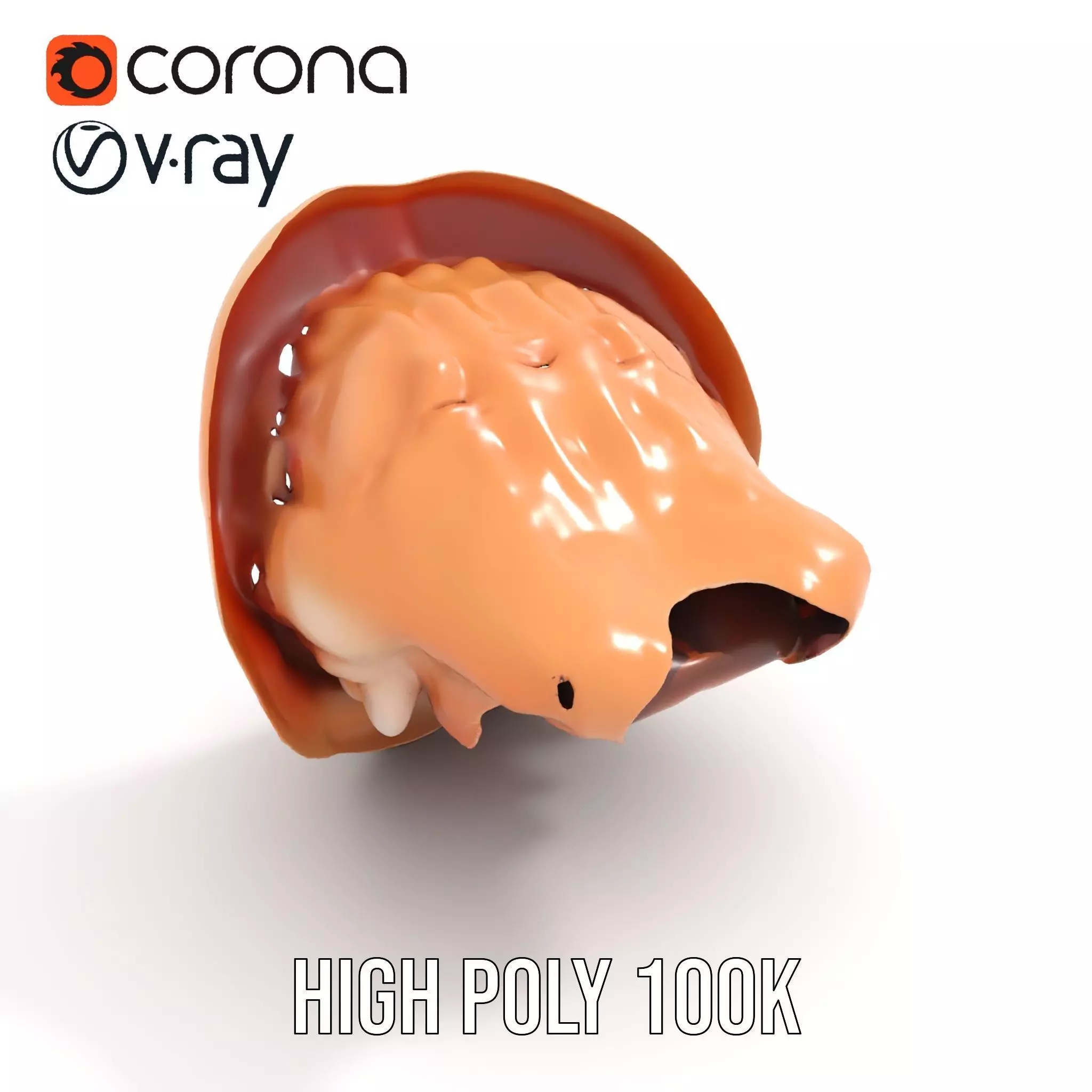 Realistic Open Mouth model pack Low-poly 3D model_29