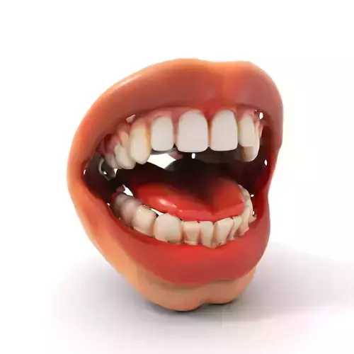 Realistic Open Mouth model pack