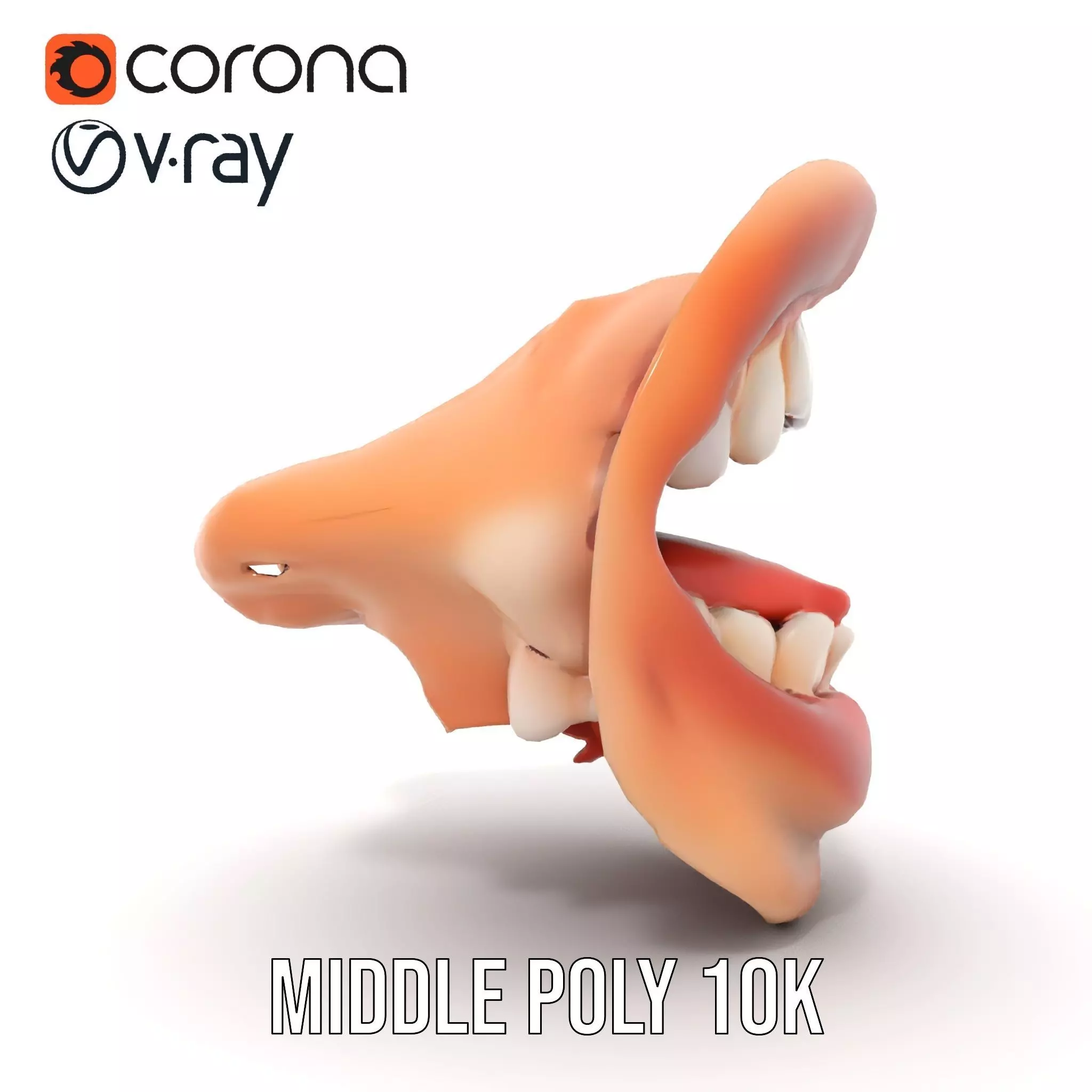 Realistic Open Mouth model pack Low-poly 3D model_12