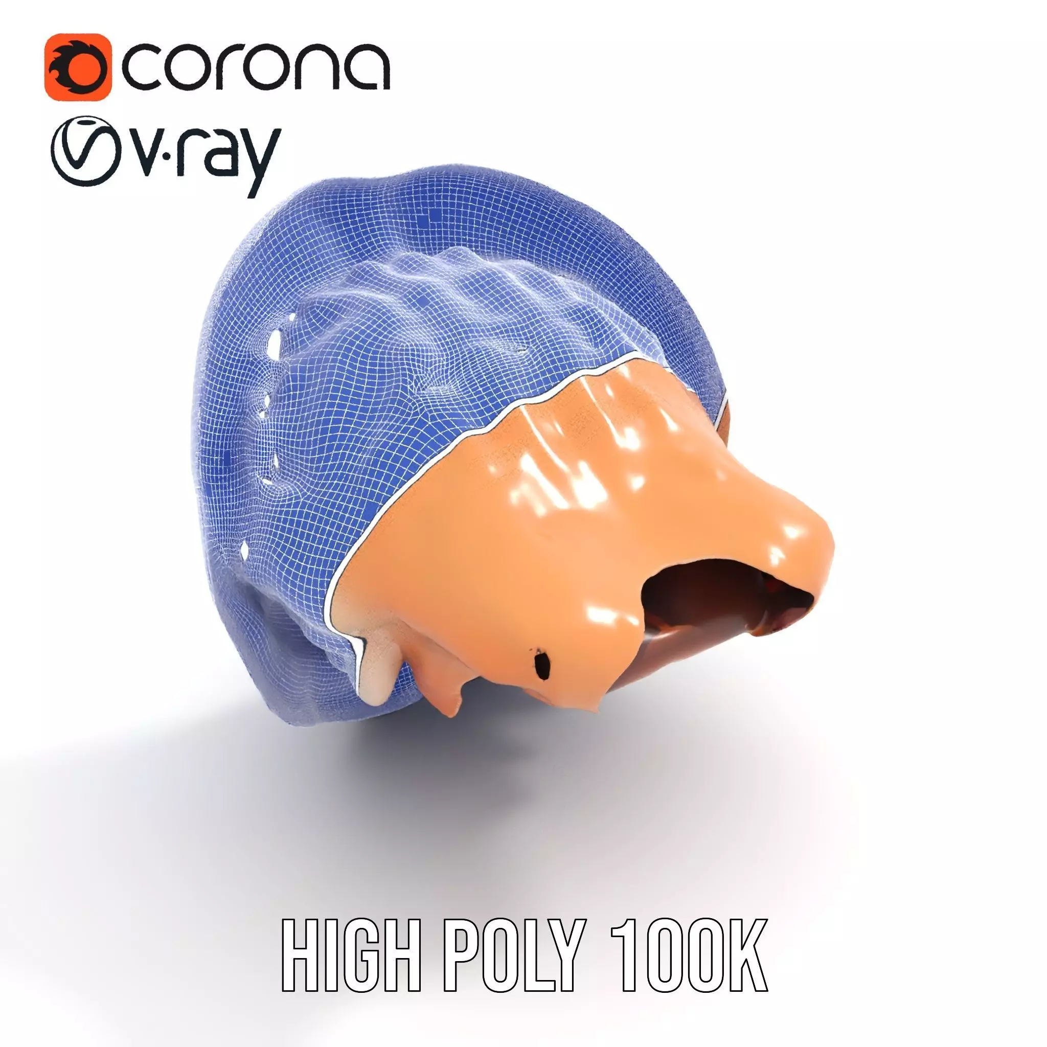 Realistic Open Mouth model pack Low-poly 3D model_33